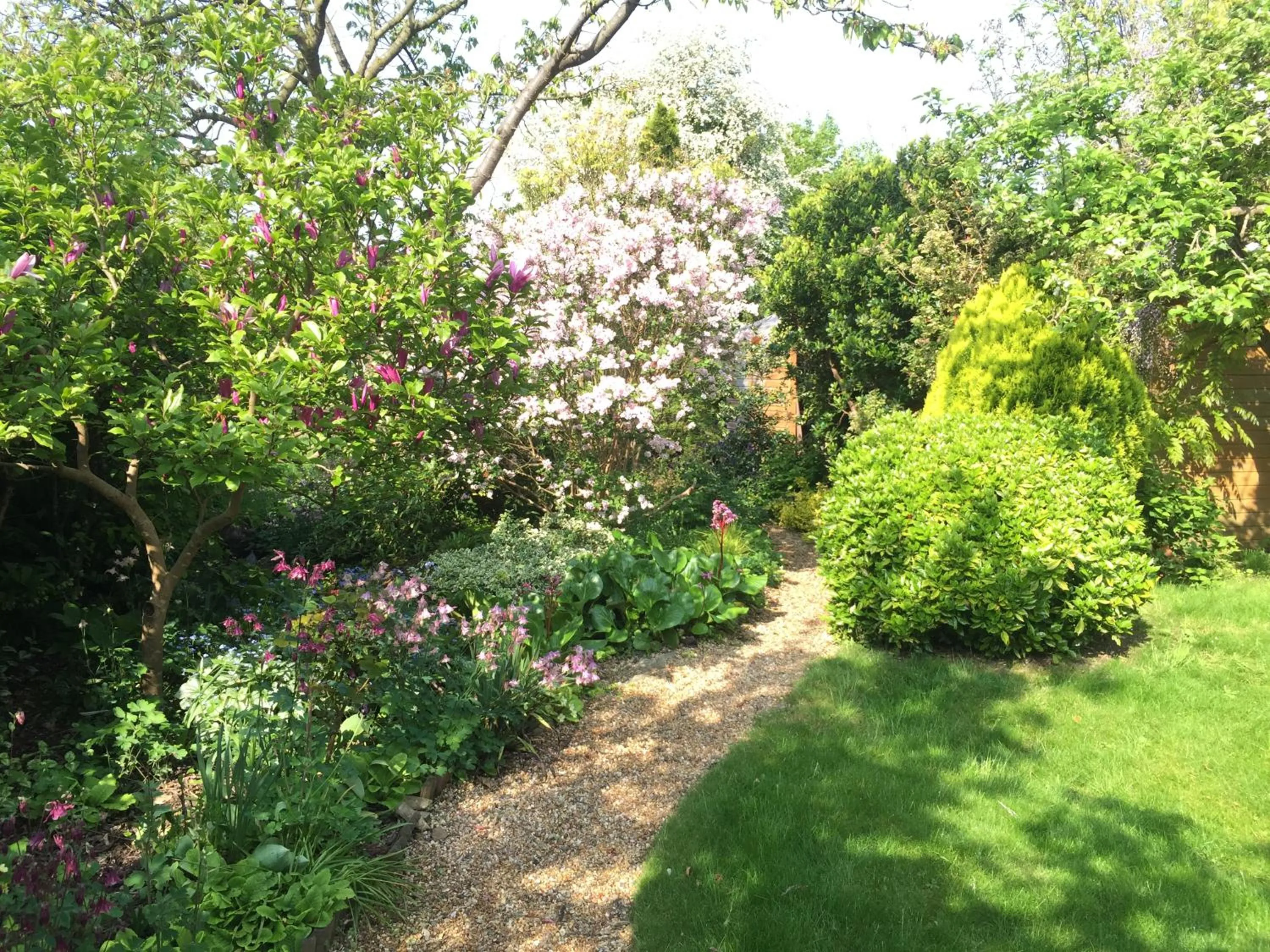 Garden in Laurels