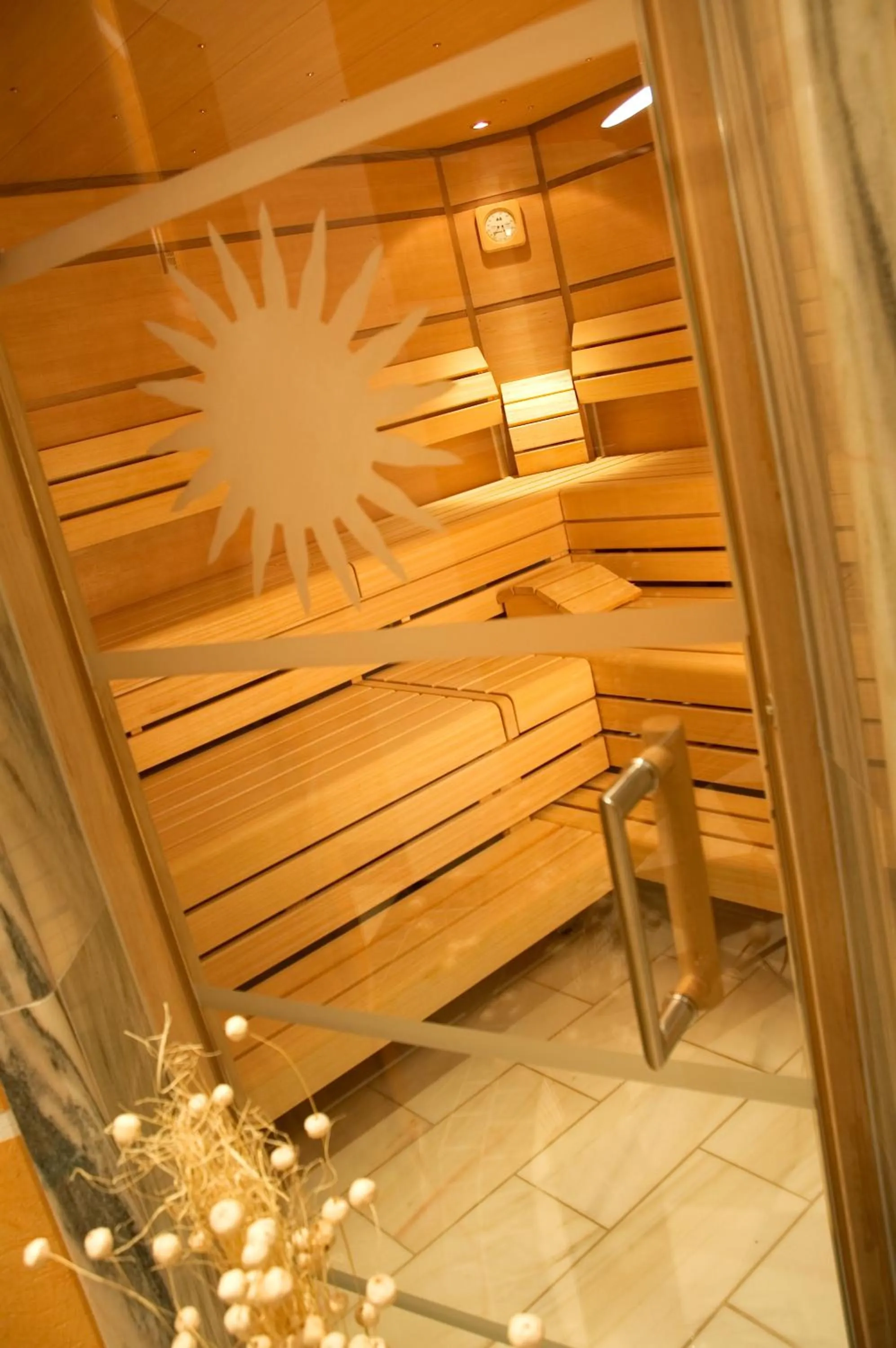Spa and wellness centre/facilities in Hotel Alpina