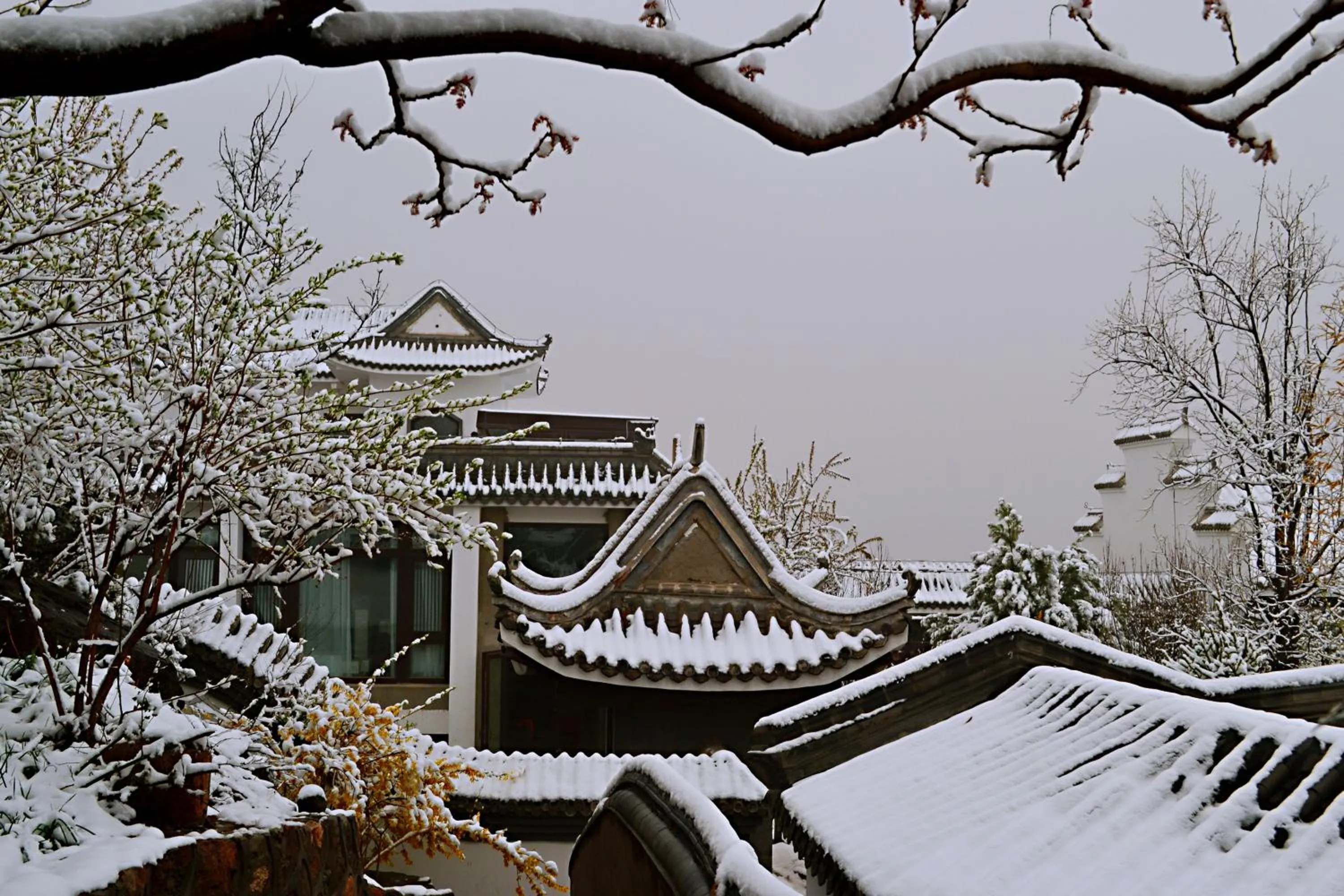 Winter in Guan Sam Hotel