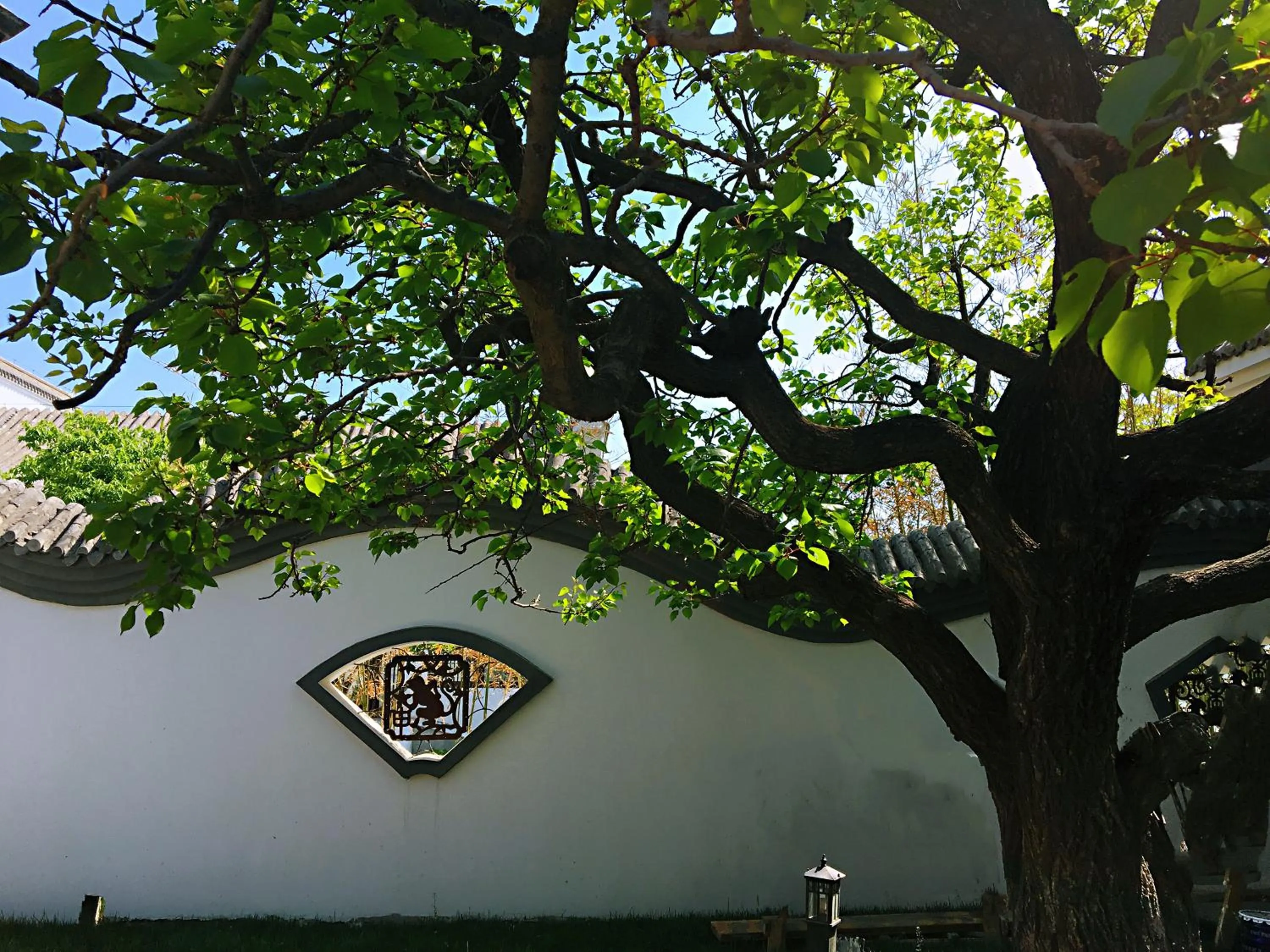 Summer in Guan Sam Hotel