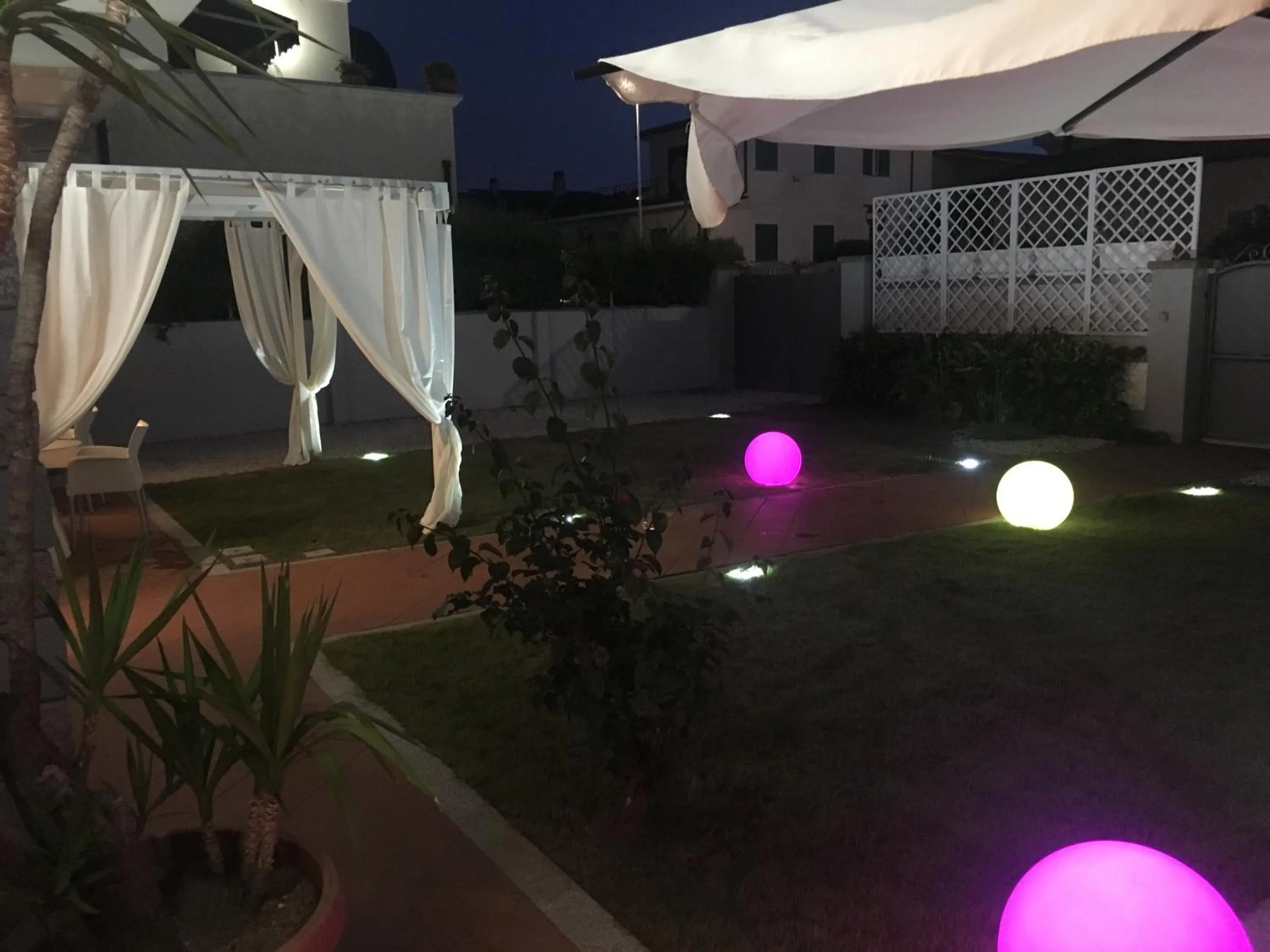 Garden view in City Garden Guest House