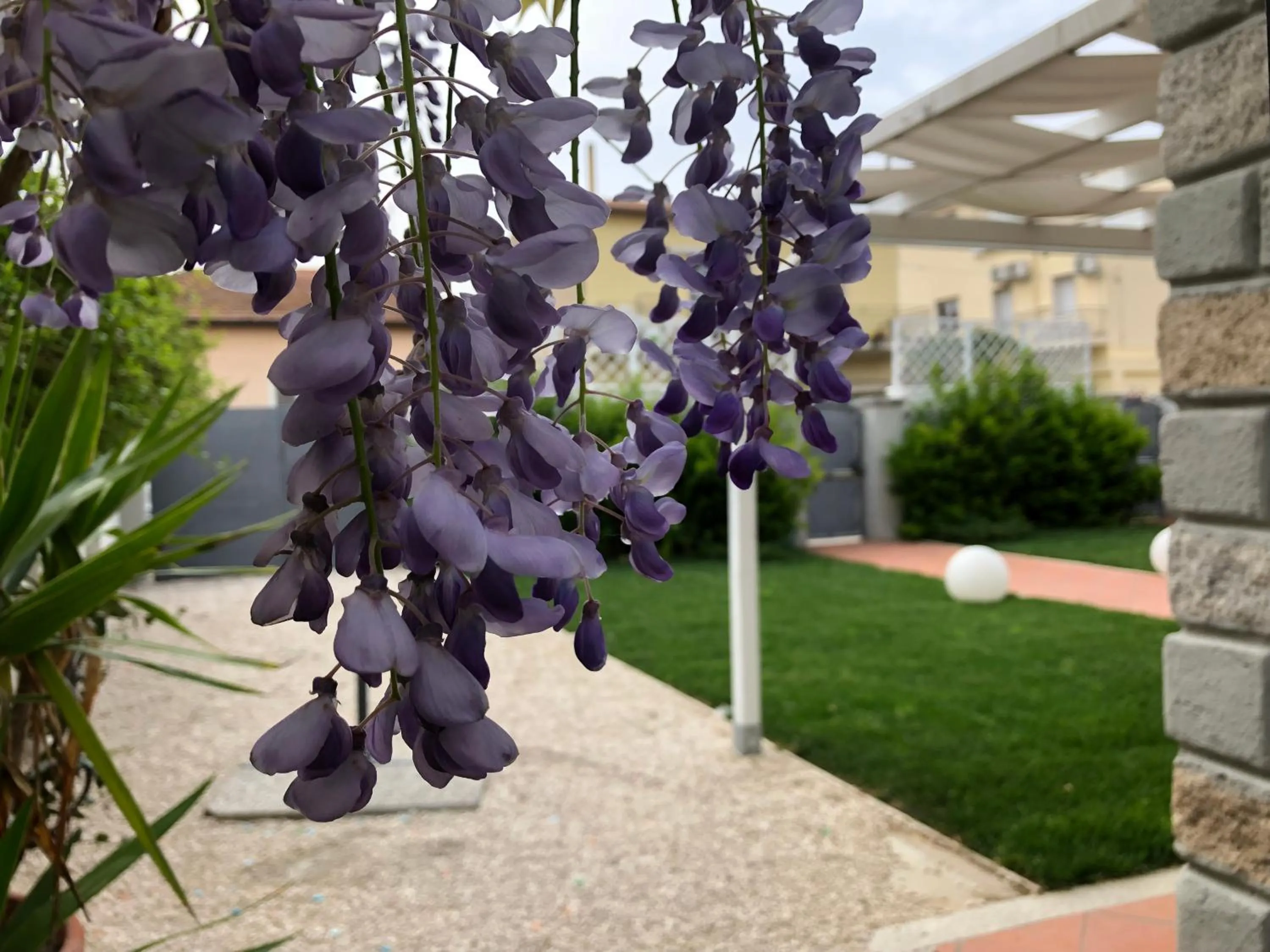 Garden in City Garden Guest House
