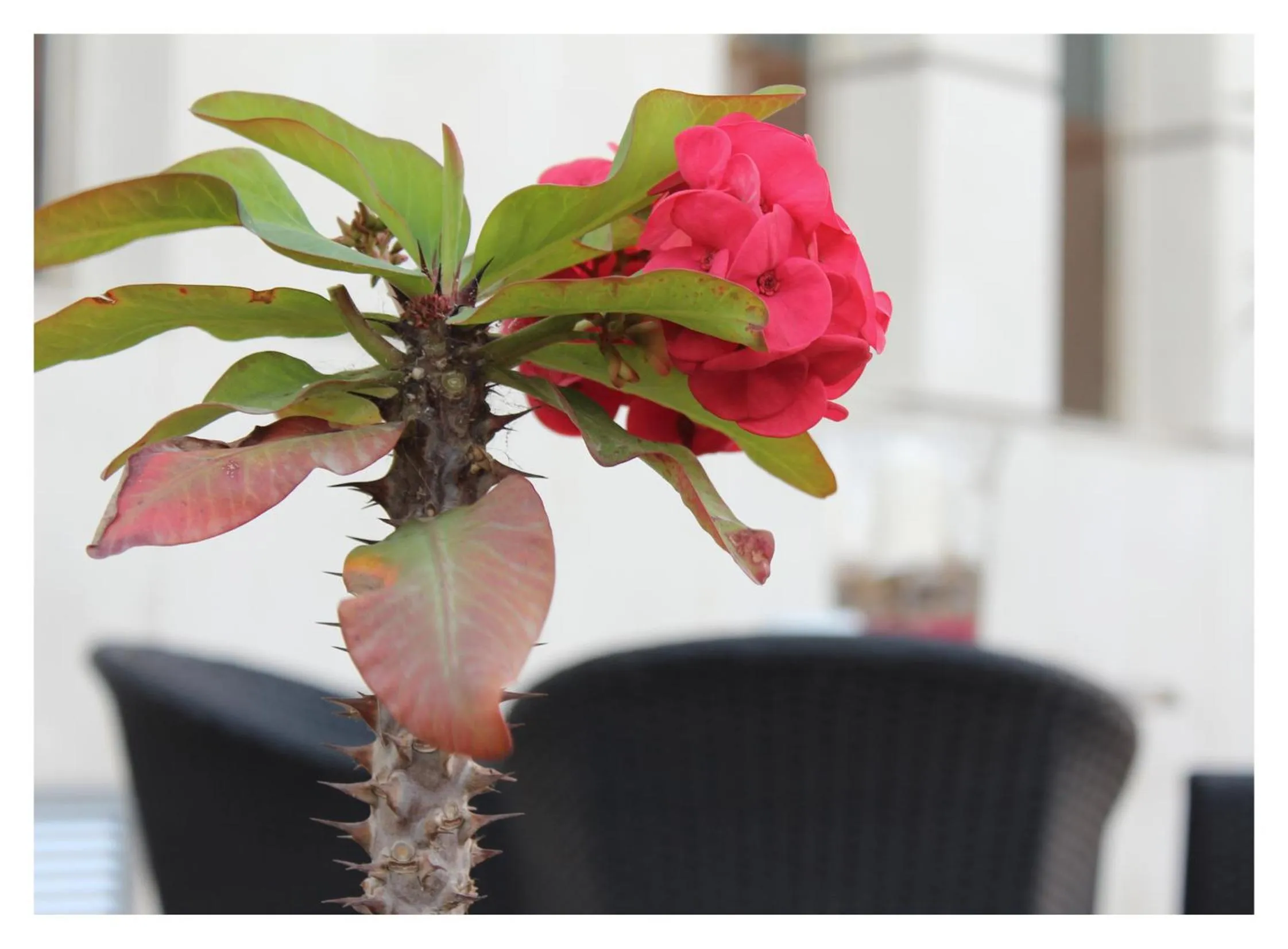 Off site in Hotel El Trebol