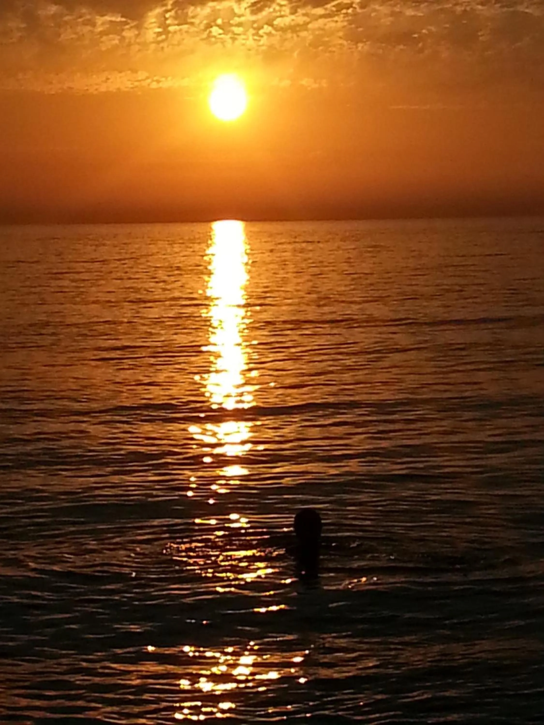 Other in La mare aux canards