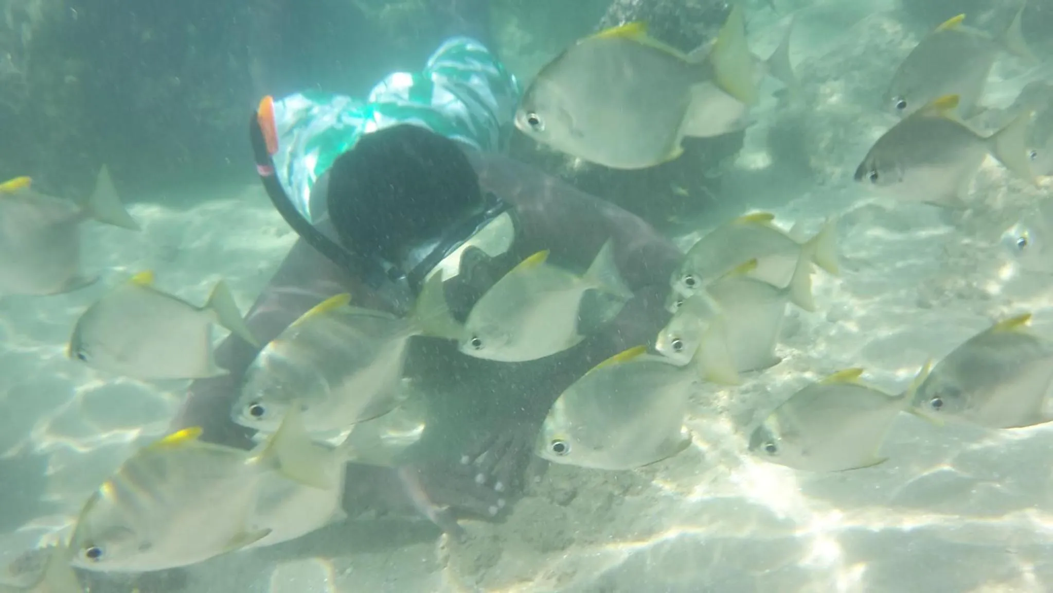 Staff in Nimal`s Homestay