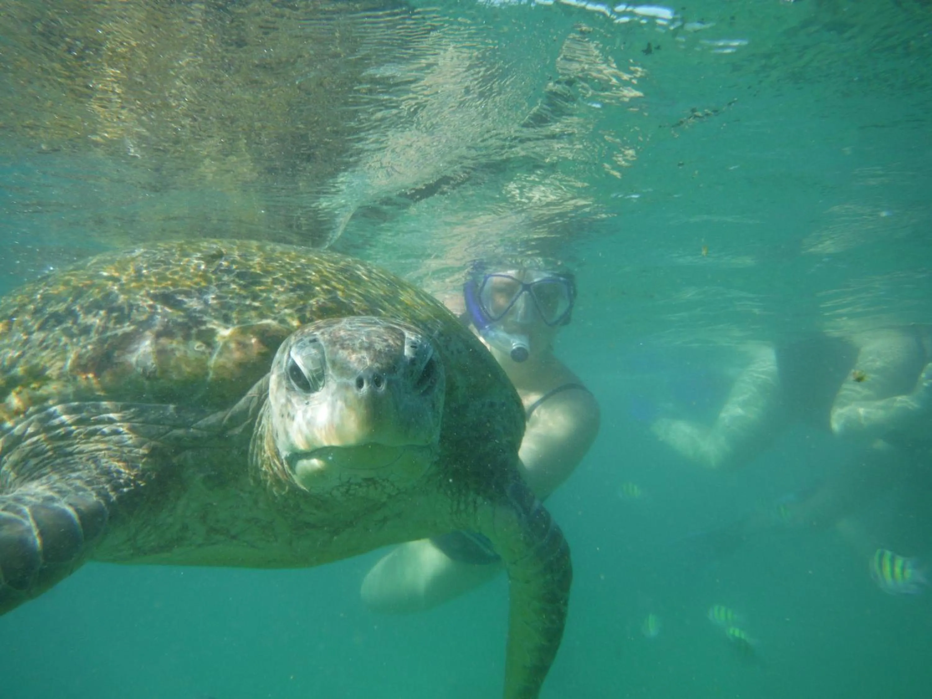 People in Nimal`s Homestay