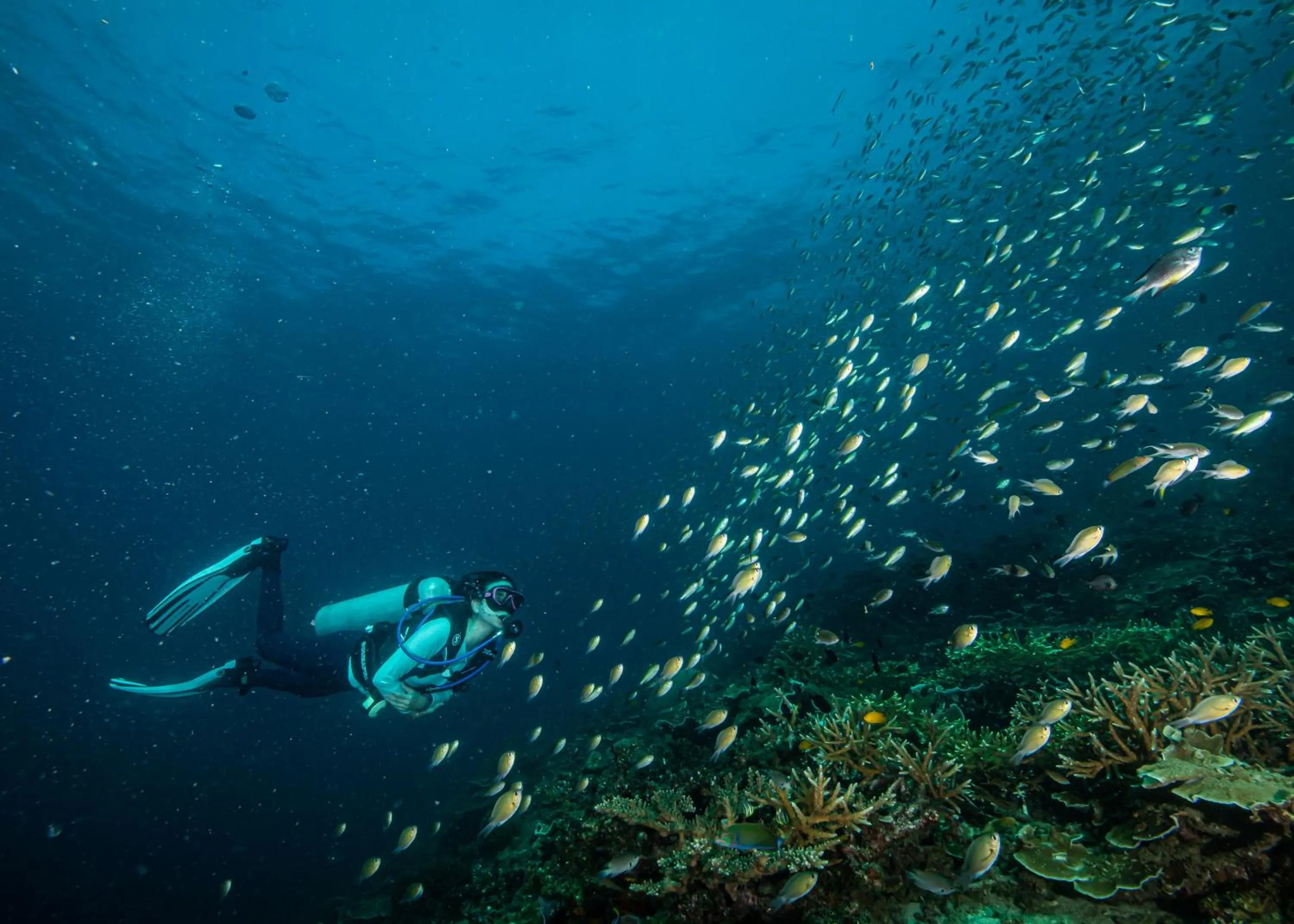 Diving in The Taaras Beach & Spa Resort