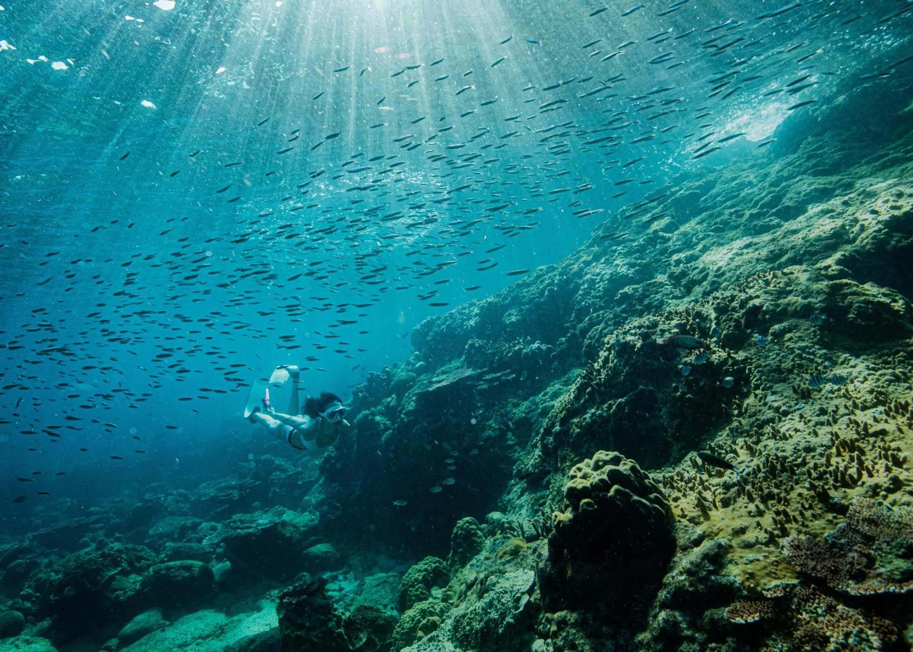 Diving in The Taaras Beach & Spa Resort