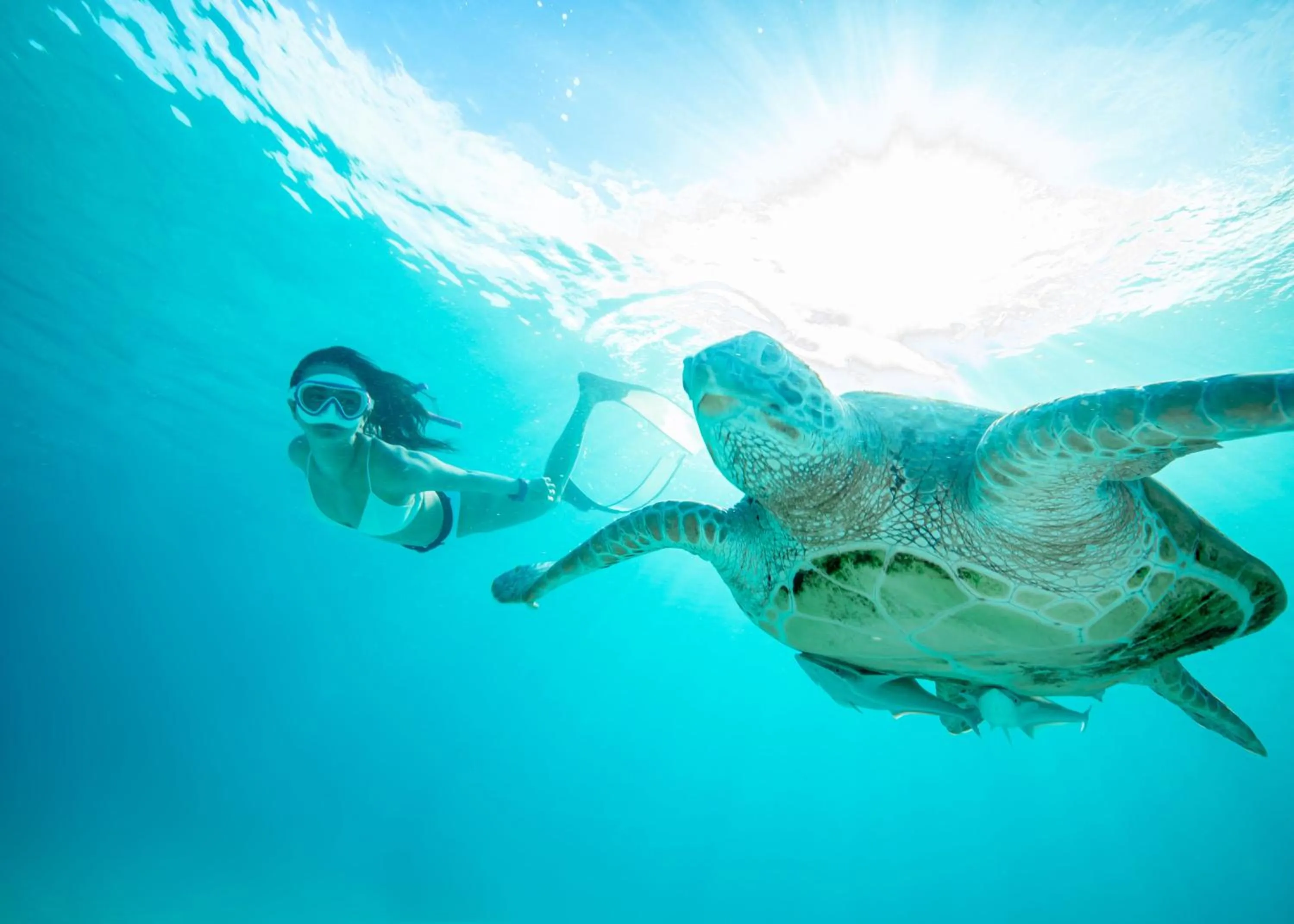 Diving in The Taaras Beach & Spa Resort