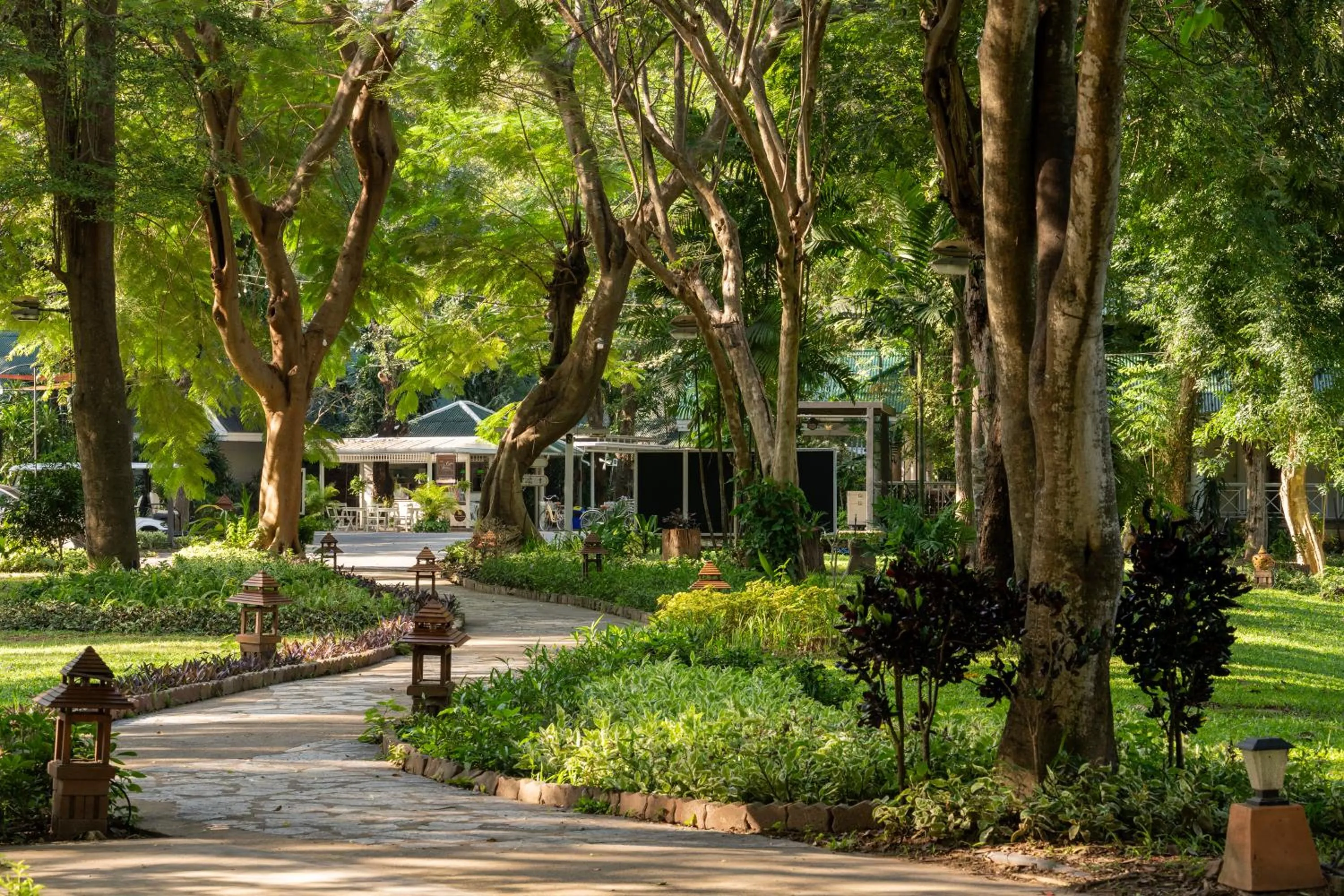 Natural landscape in Comsaed River Kwai Resort
