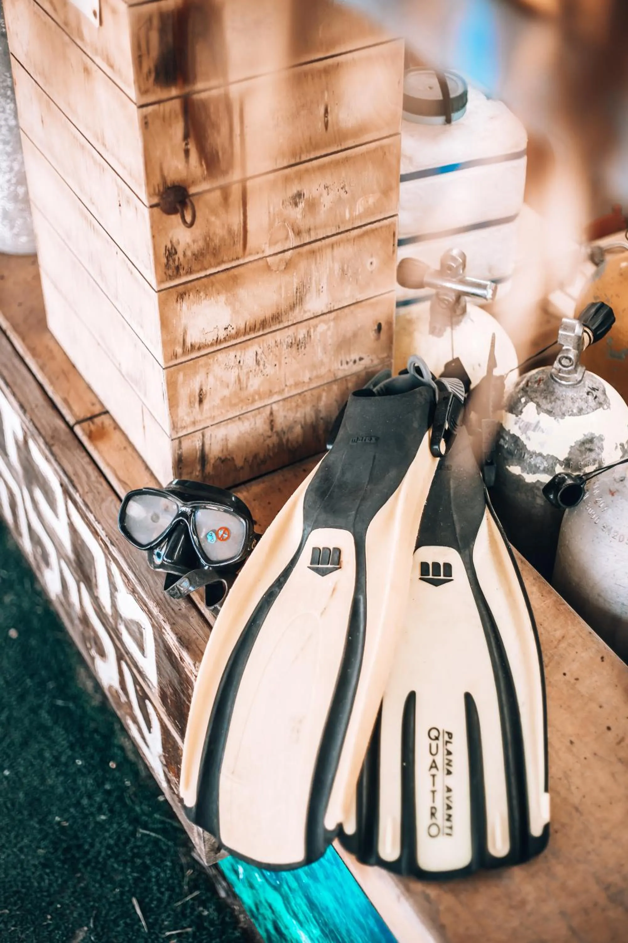 Diving in Dolphin Village - Sea Resort By Ran Hotels