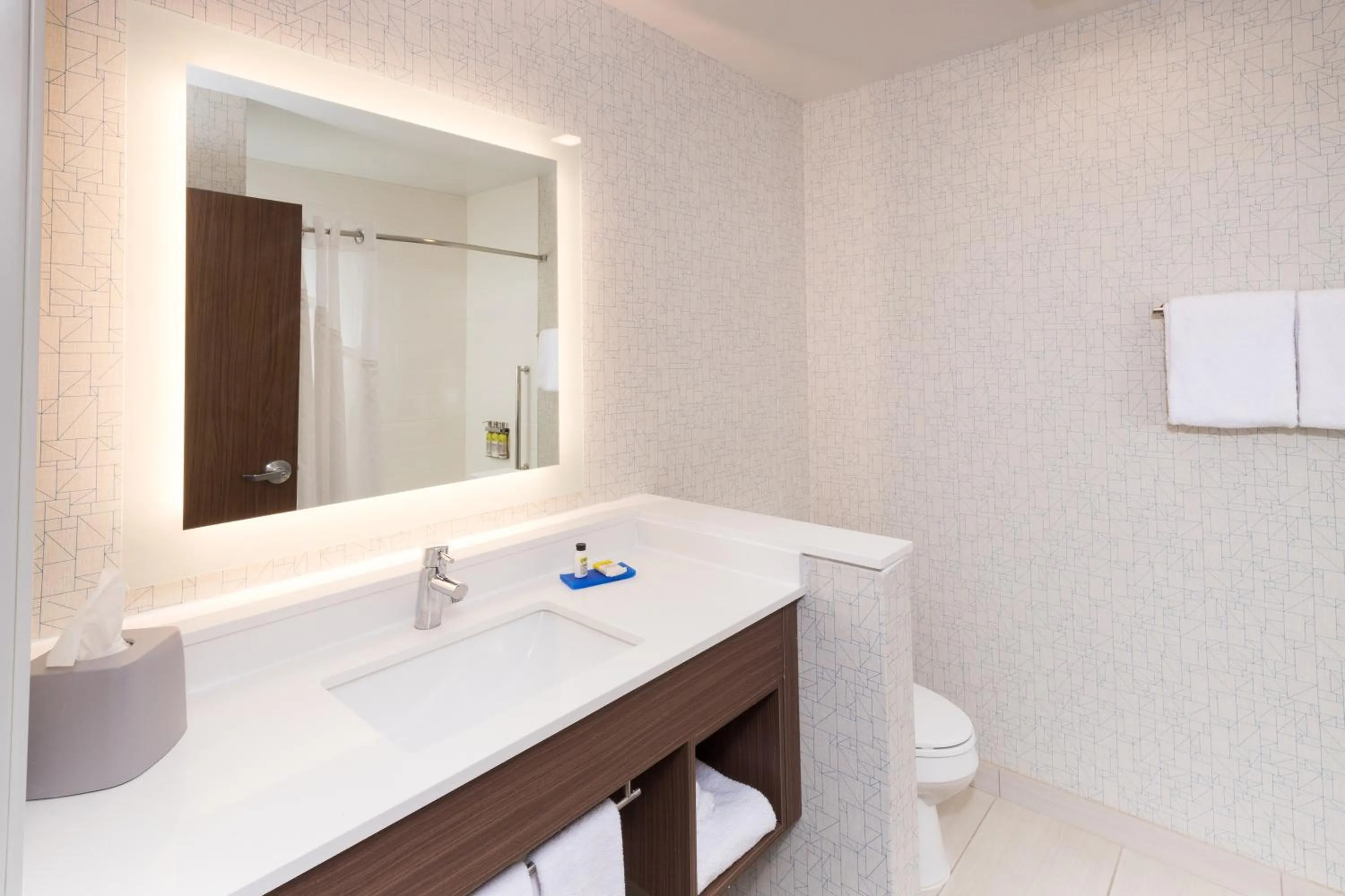 Bathroom in Holiday Inn Express & Suites - Gaylord by IHG