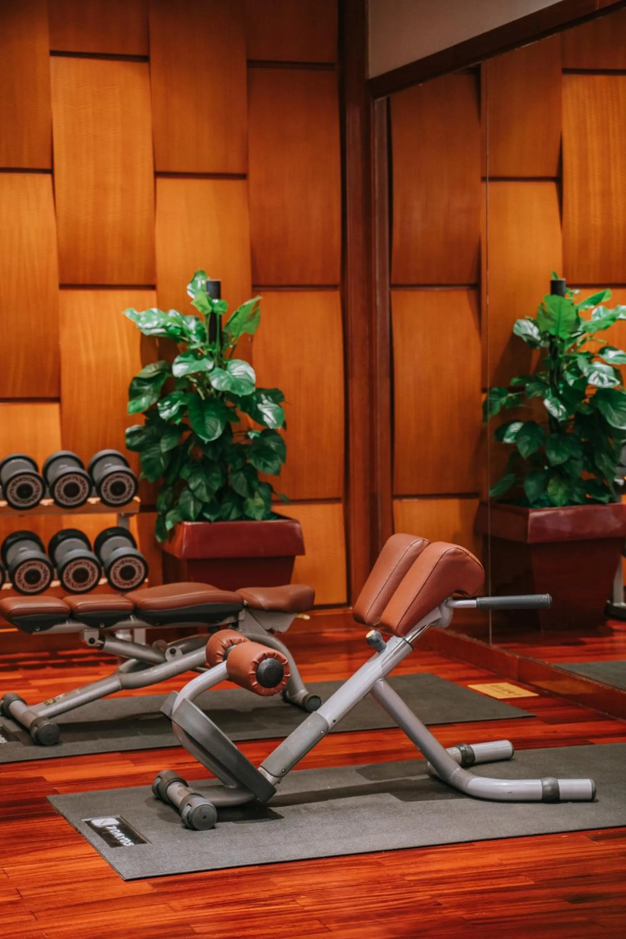 Fitness centre/facilities, Fitness Center/Facilities in Dekin Hotel Chongqing Jiefangbei