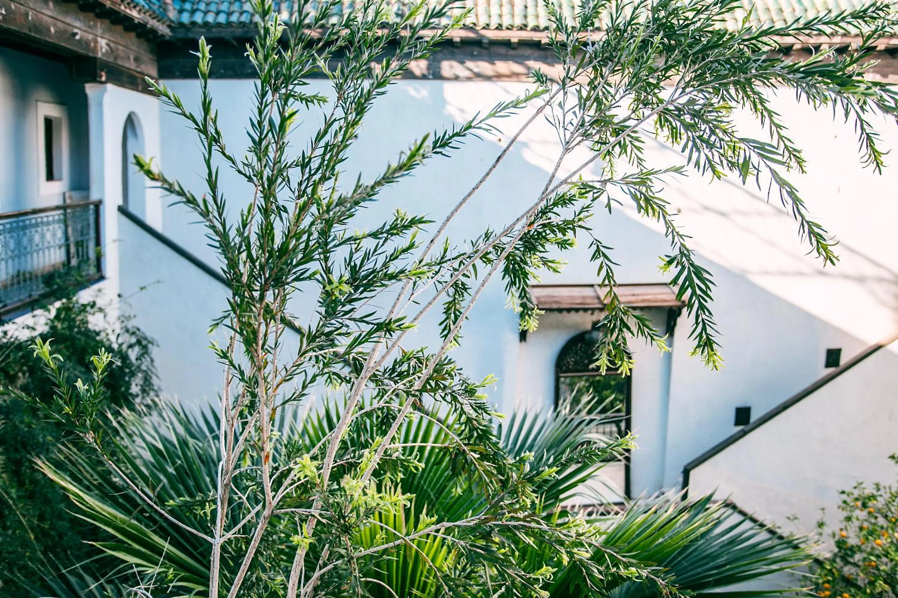 Patio in Riad Le Rihani