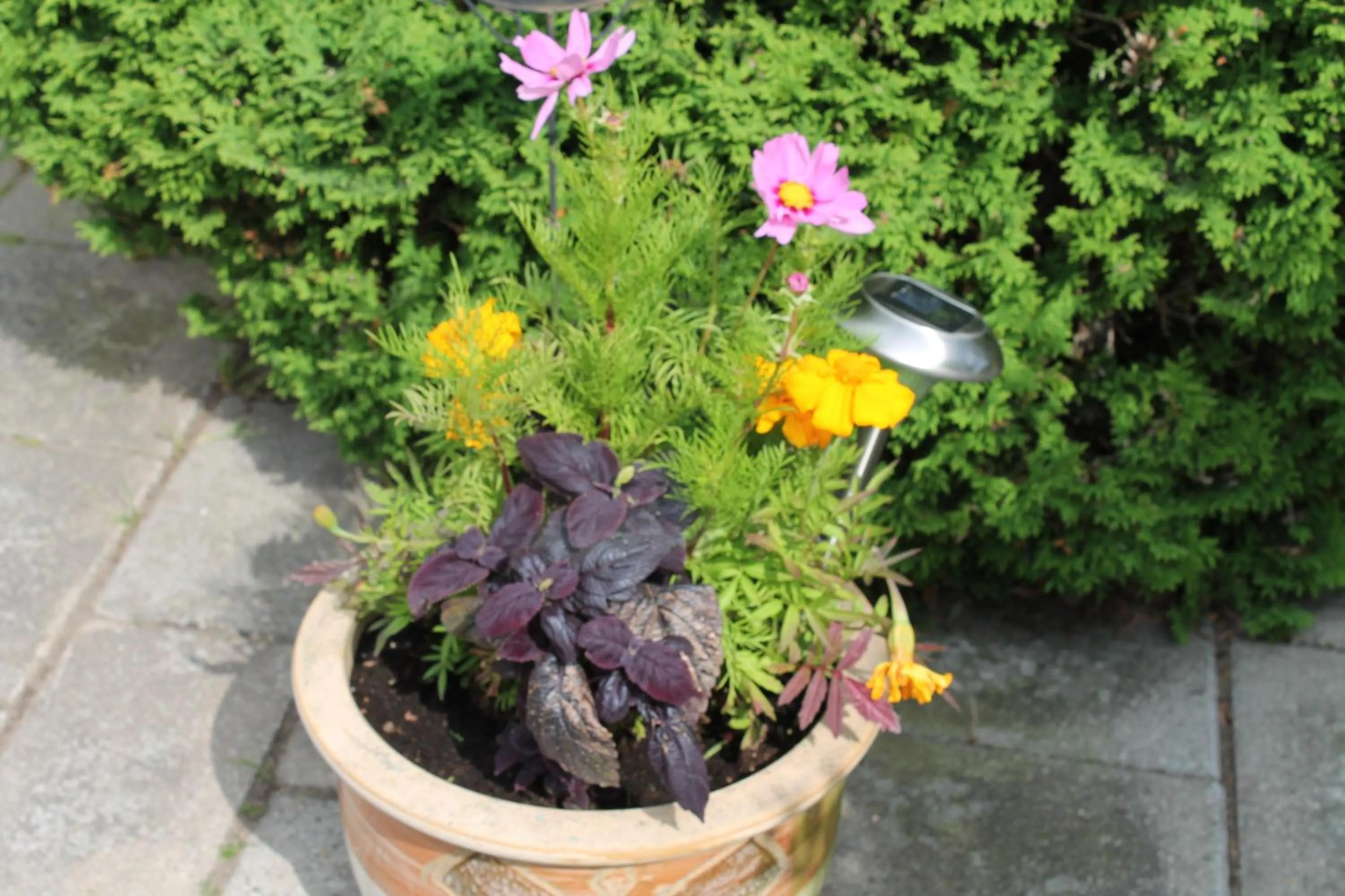 Other in Nyckelbo Vandrarhem