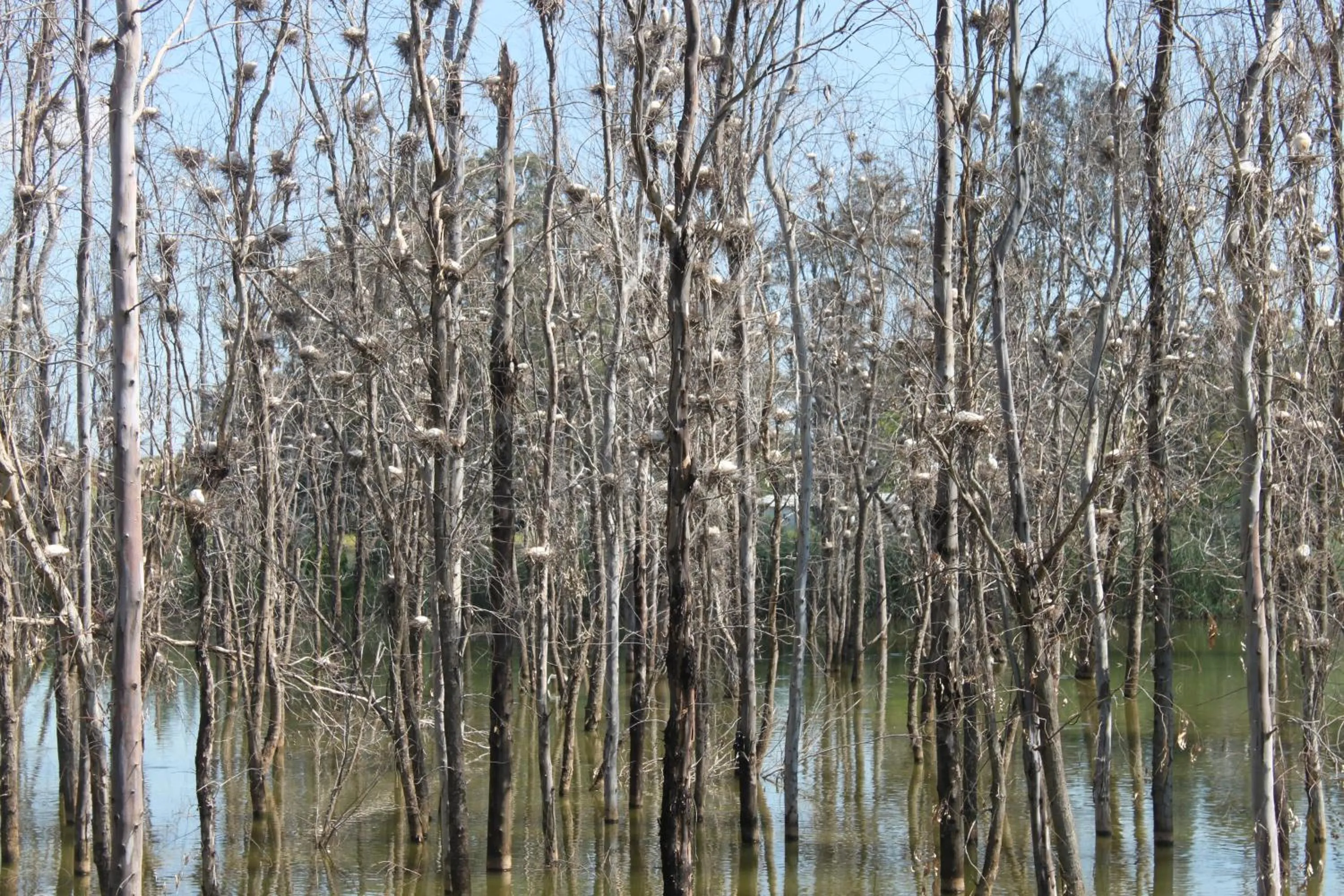 View (from property/room) in Hotel Dar Eddaya