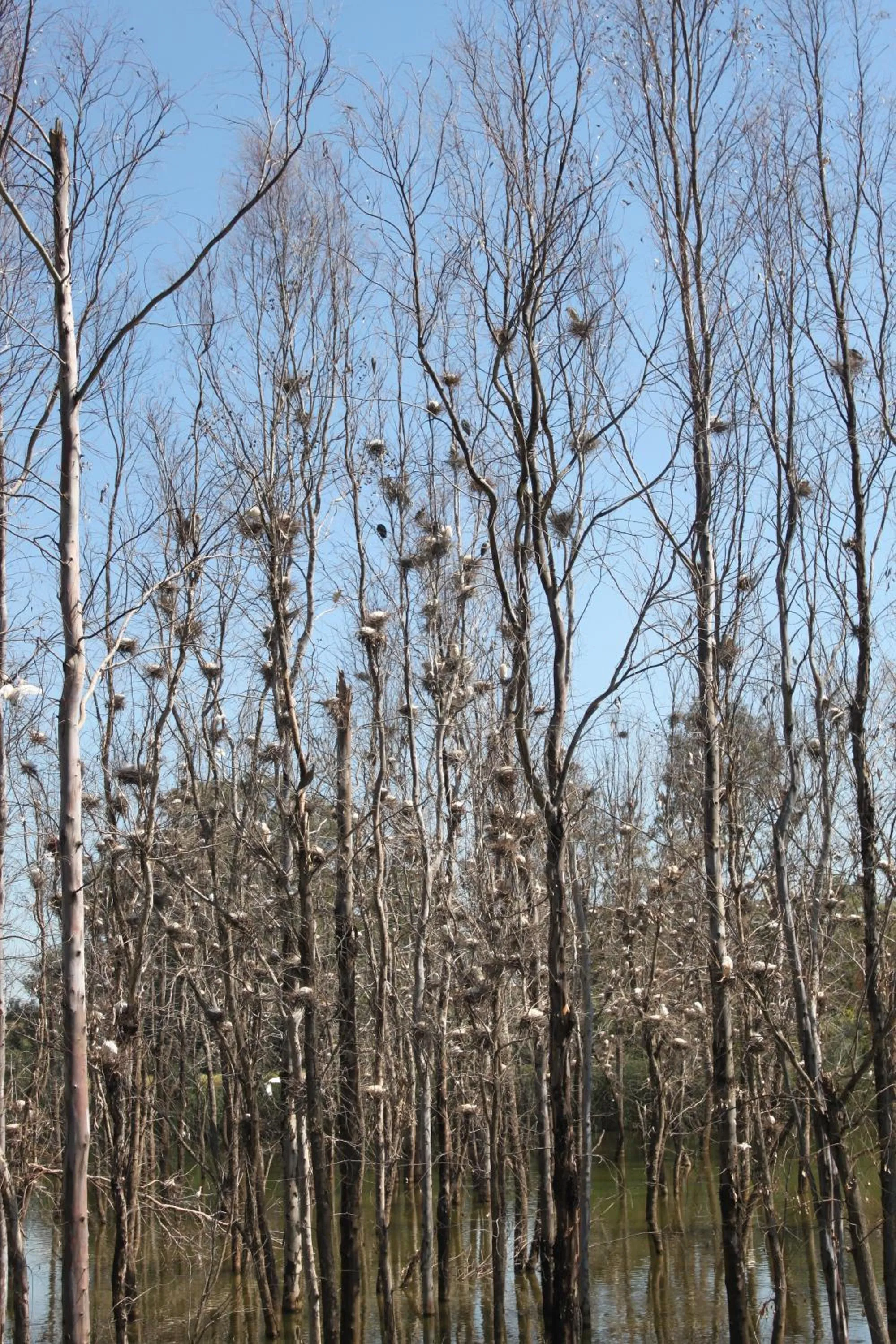 View (from property/room) in Hotel Dar Eddaya
