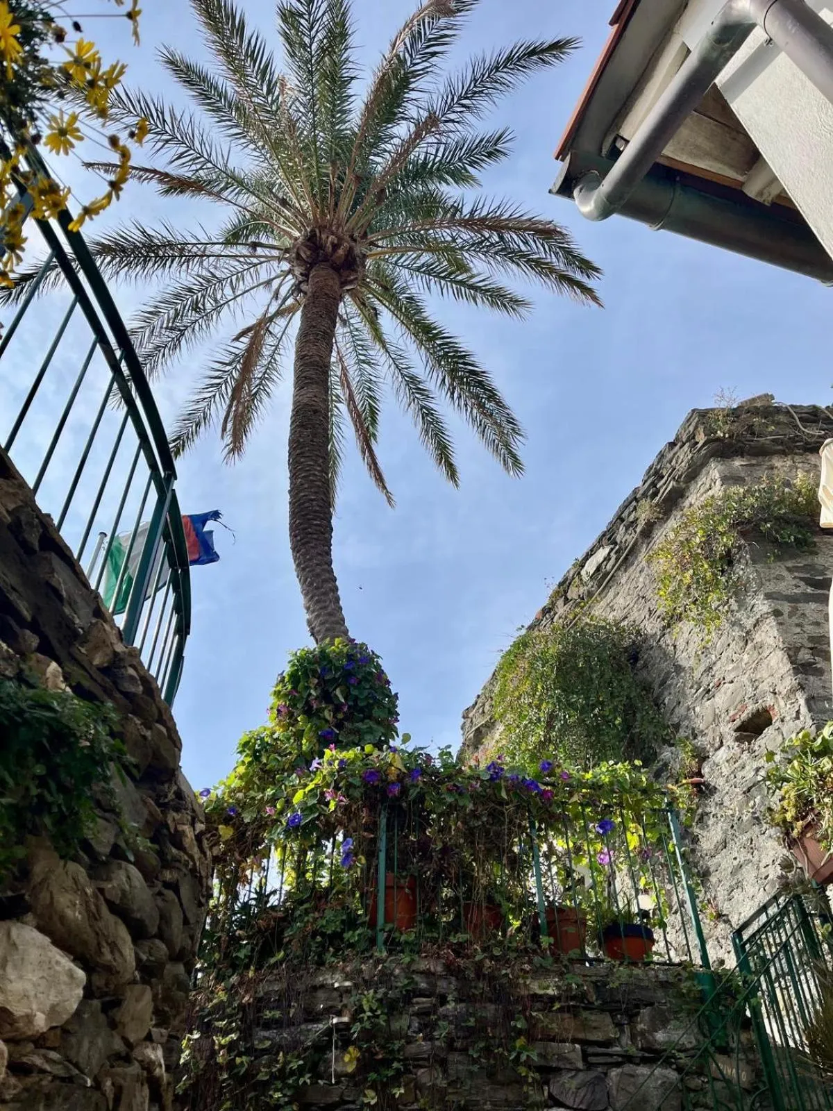 Day in Hotel Gianni Franzi