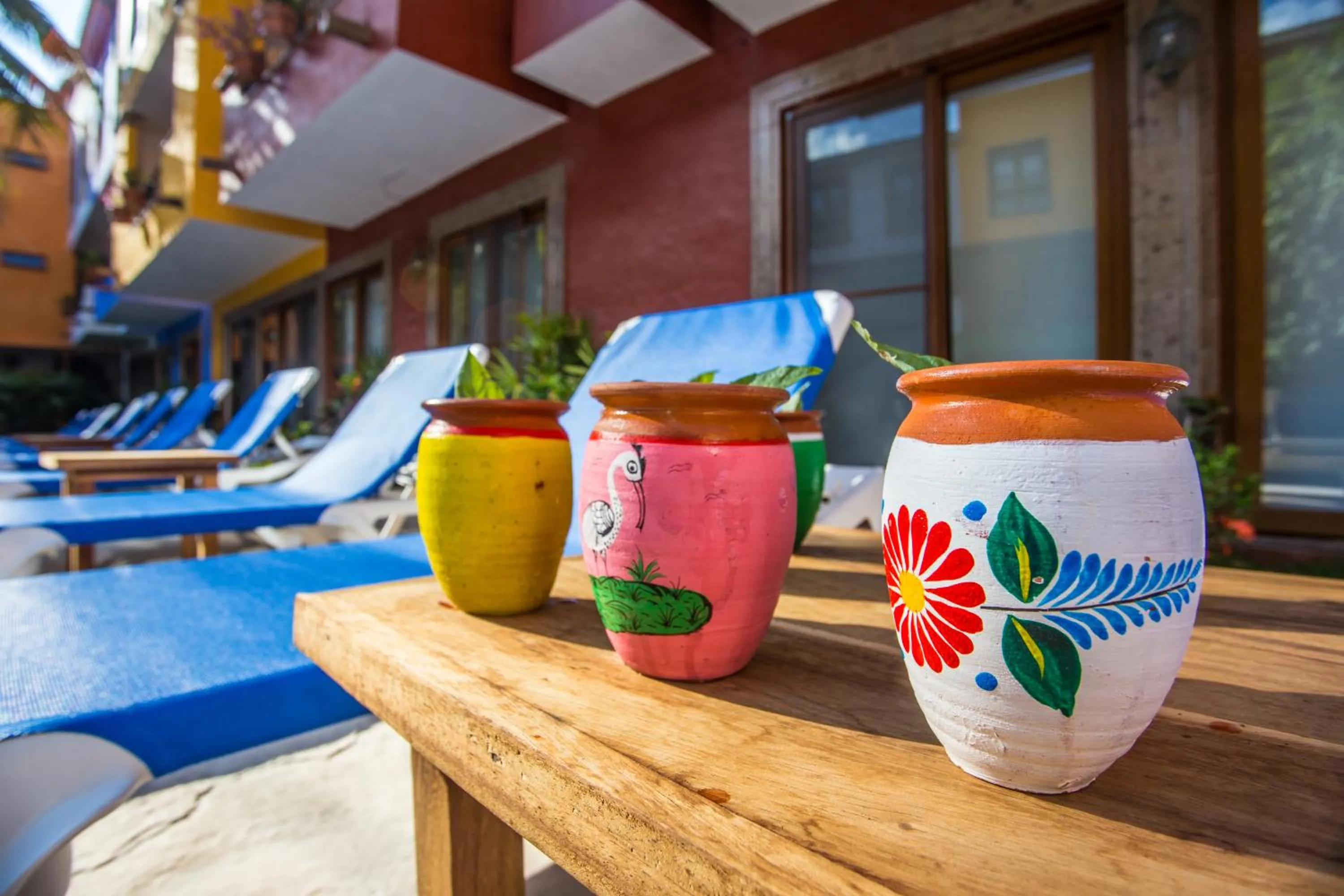 Drinks in Casa Lotería -Pueblito Sayulita- Colorful, Family and Relax Experience with Private Parking and Pool