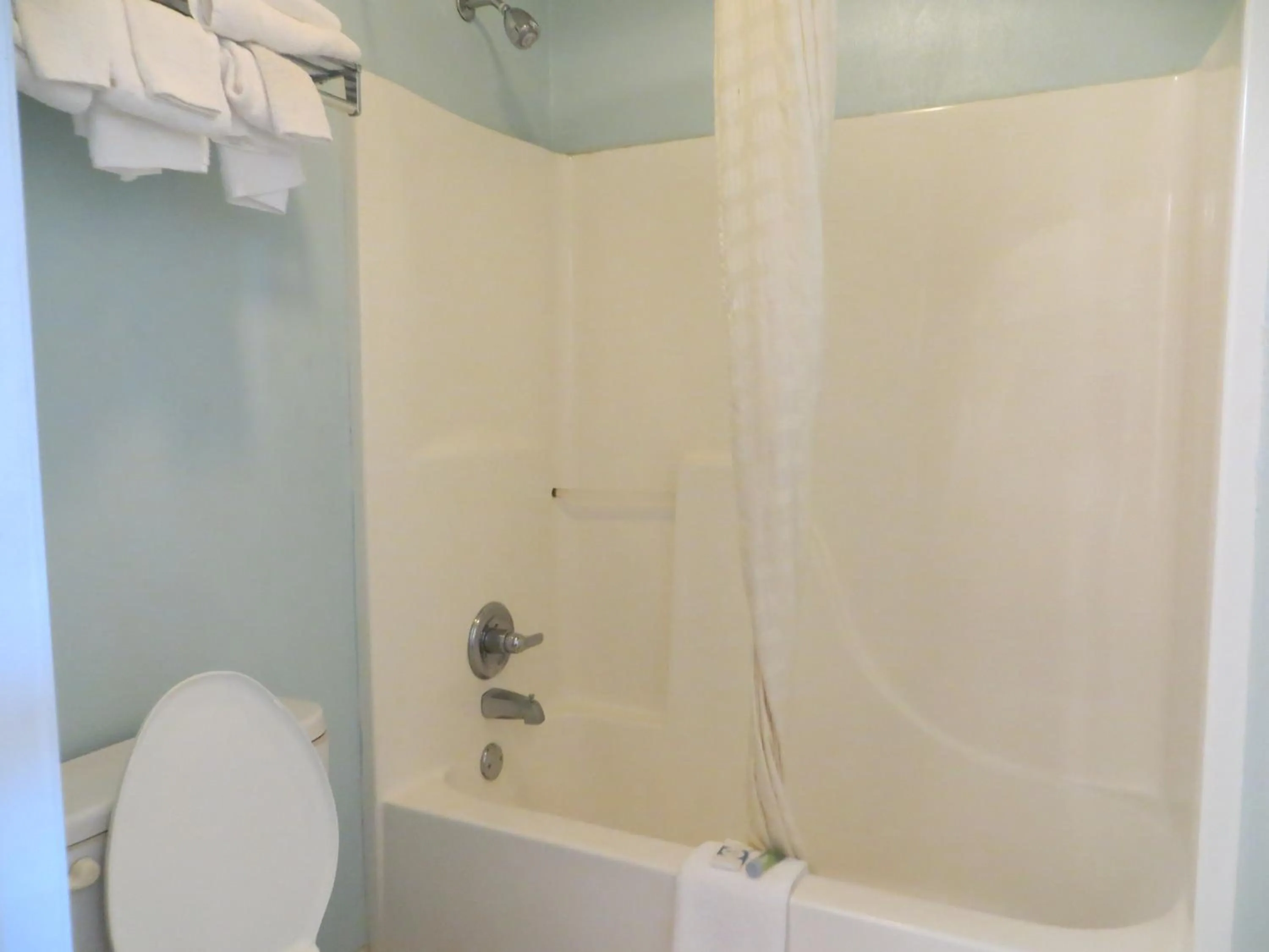 Bathroom in Motel 6-Ozark, AR