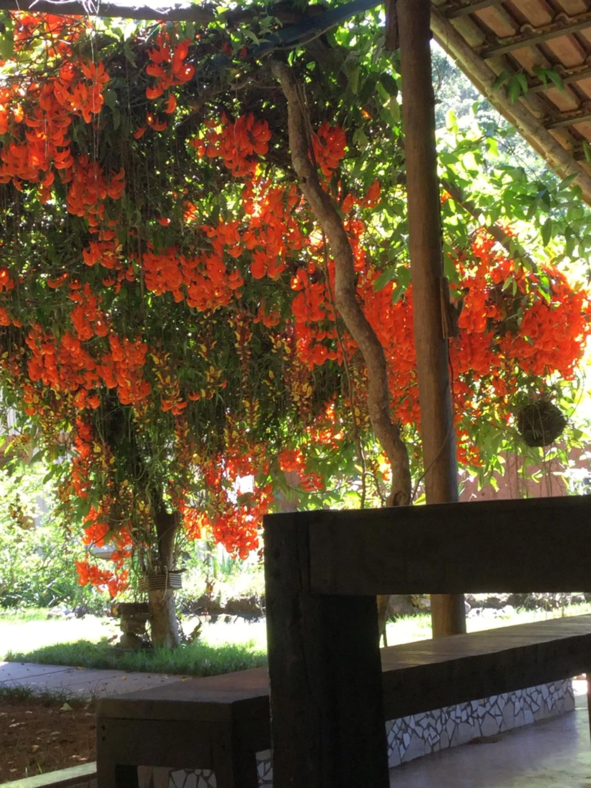 Restaurant/places to eat in Pousada Restaurante Portal do Ceu