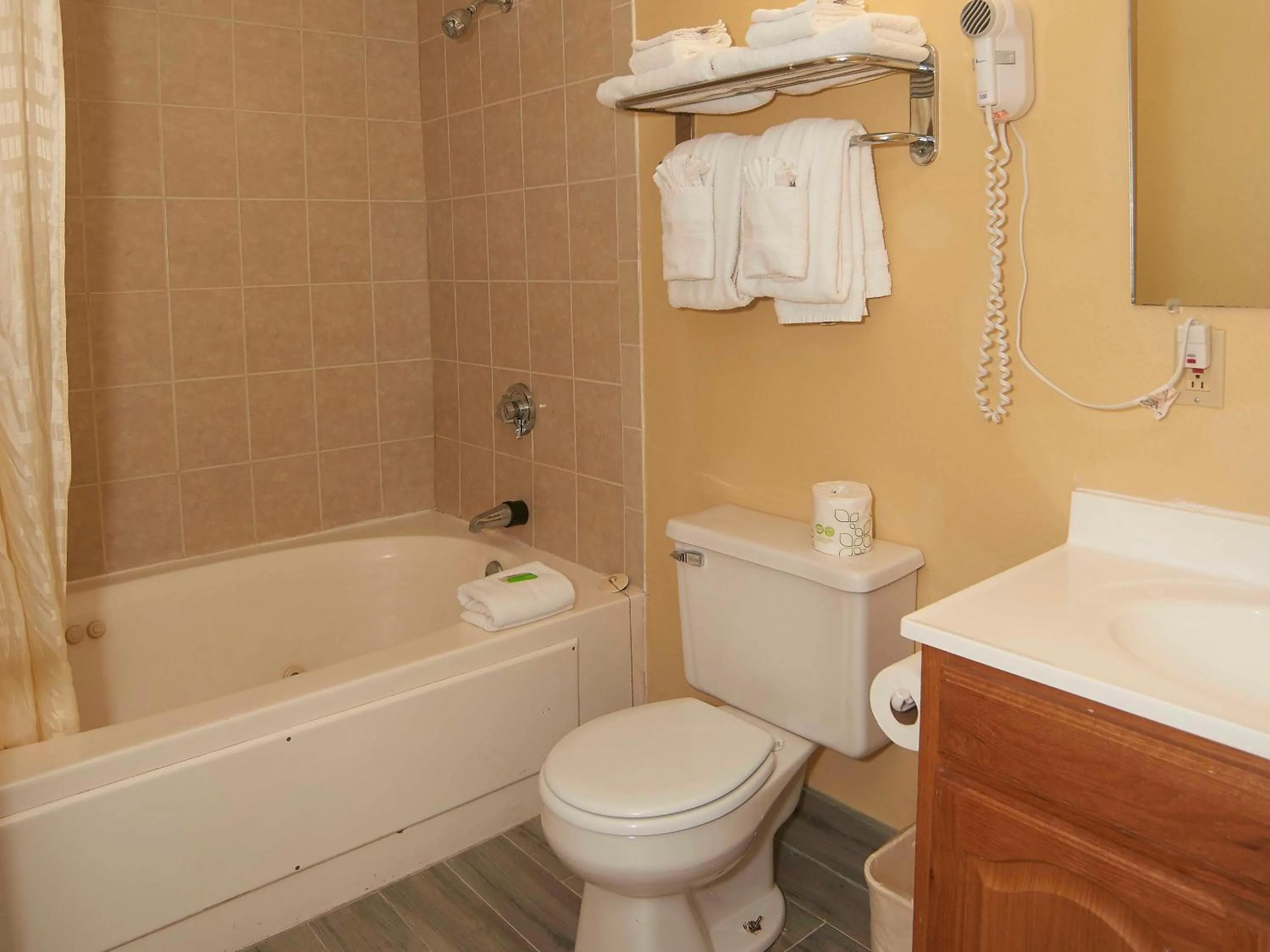 Bathroom in Swiss Chalets Village Inn