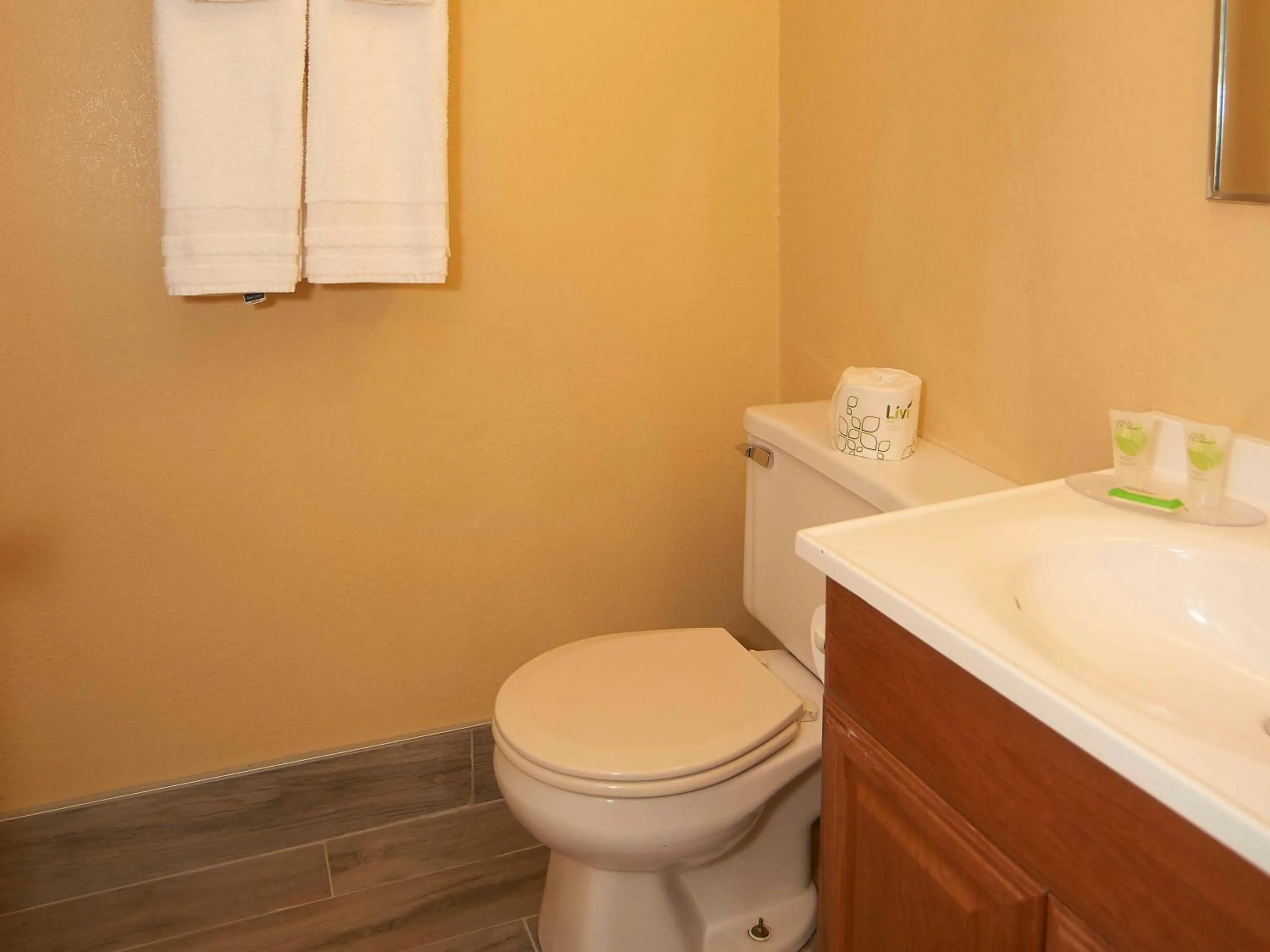 Bathroom in Swiss Chalets Village Inn