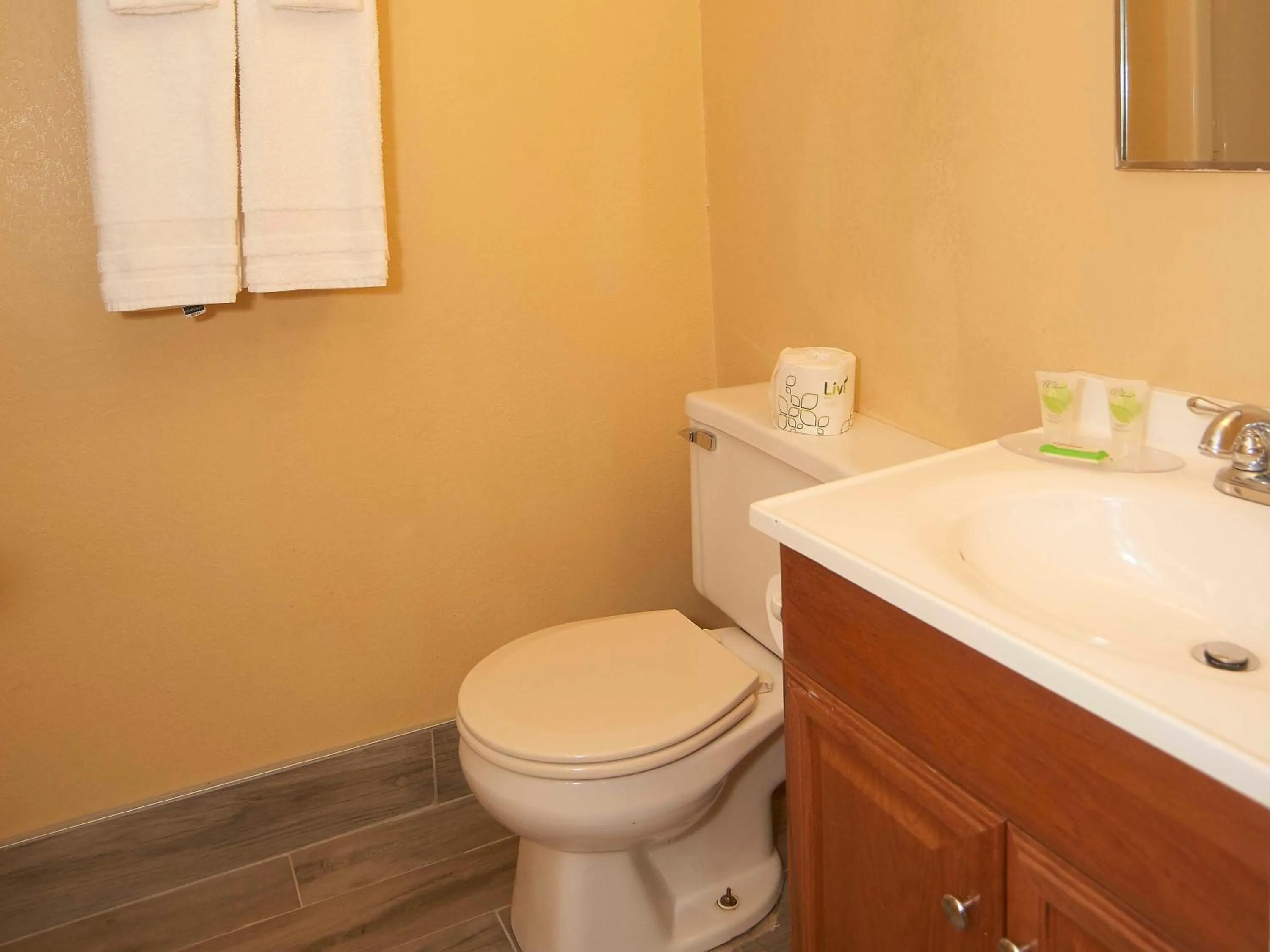 Bathroom in Swiss Chalets Village Inn