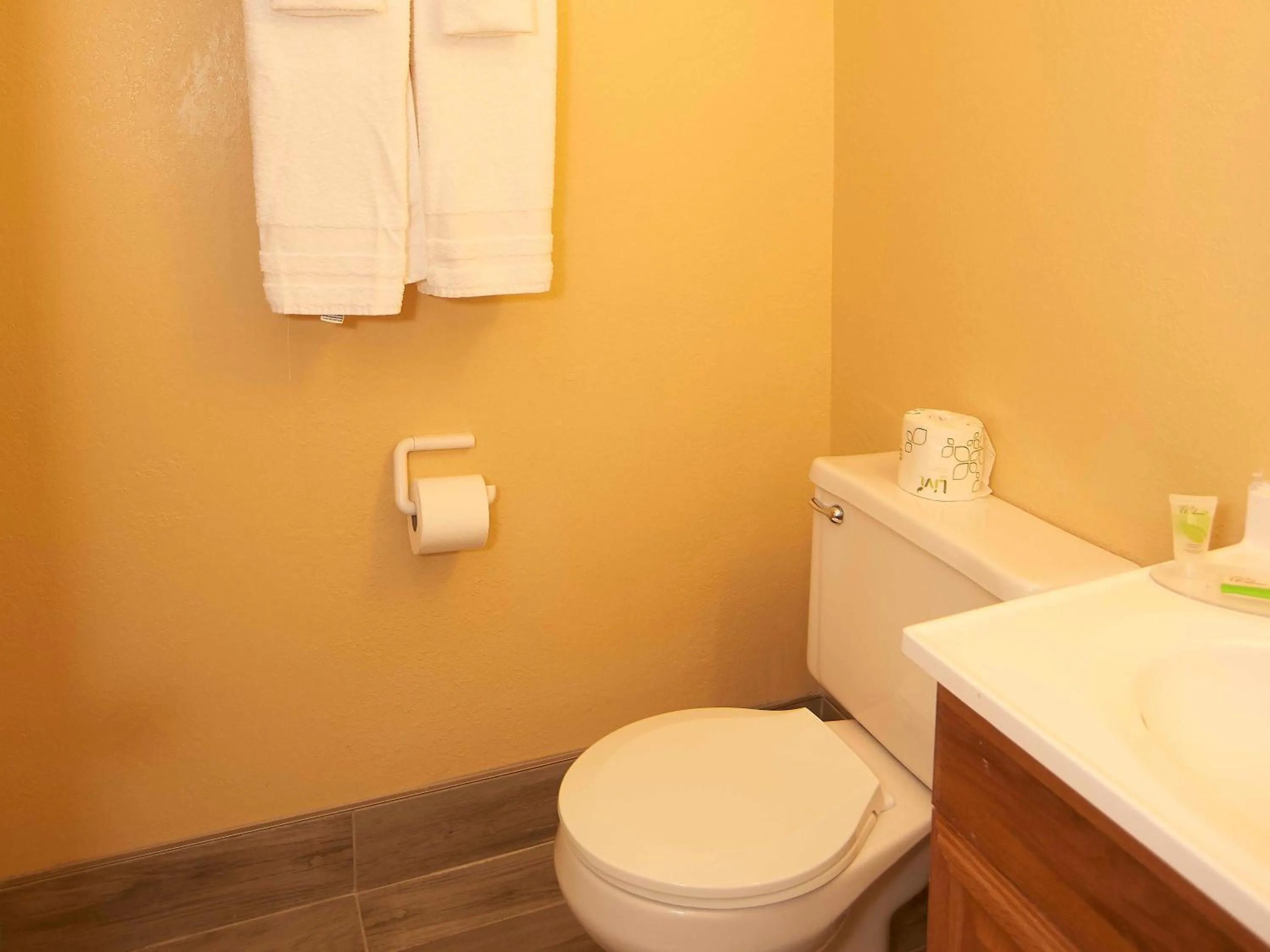 Bathroom in Swiss Chalets Village Inn