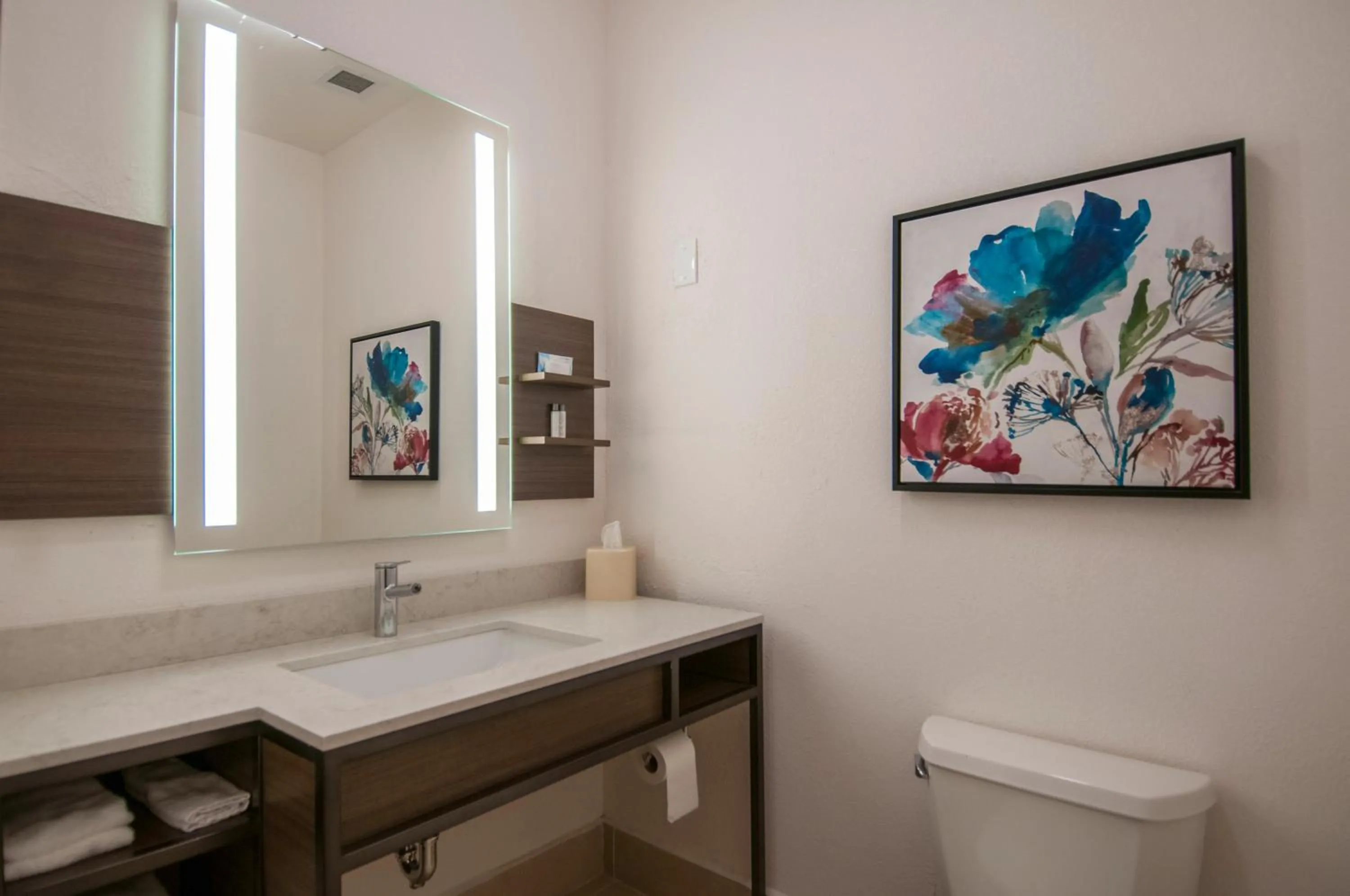 Bathroom in Hilton Garden Inn Hattiesburg