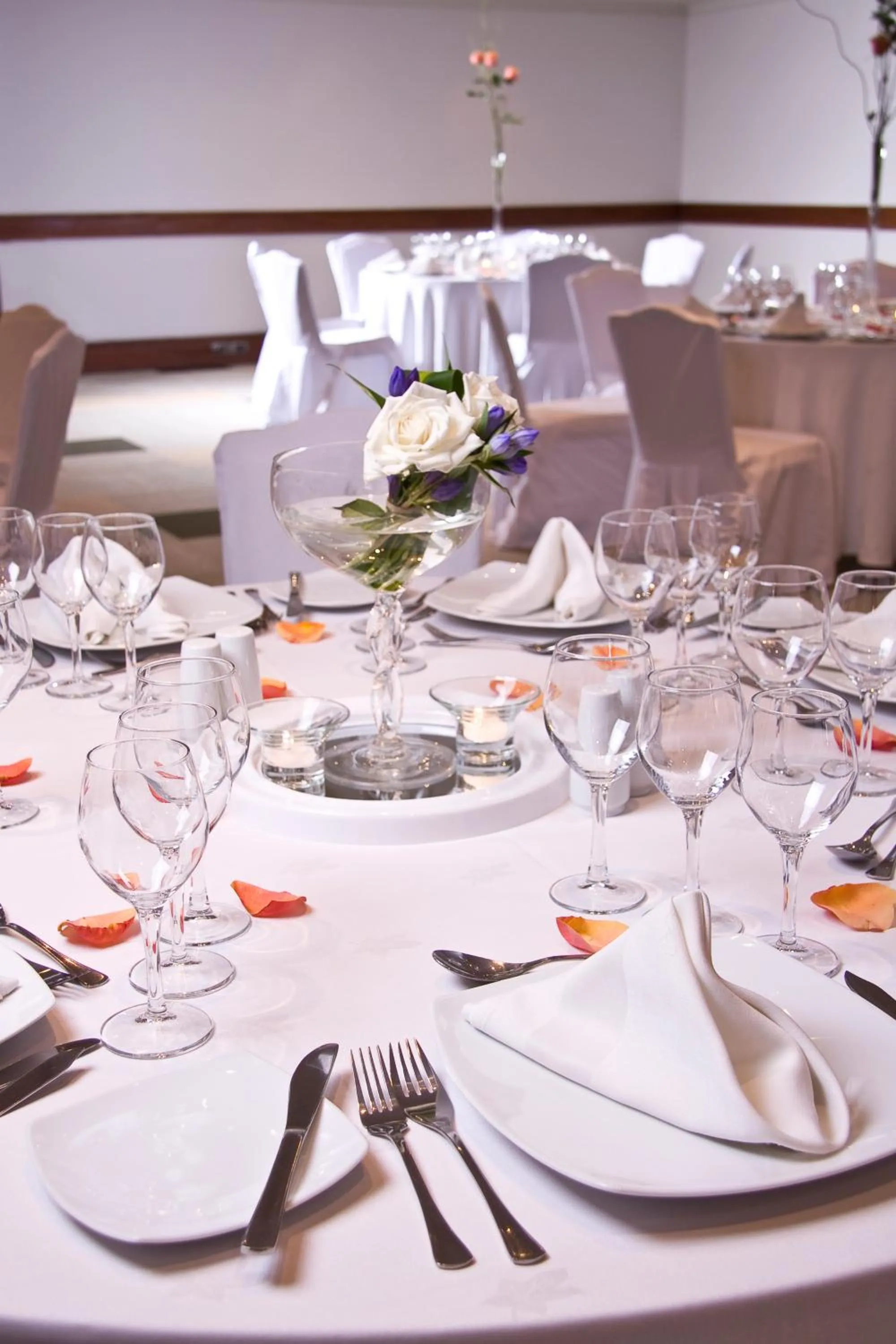 Banquet/Function facilities in Plaza El Bosque Ebro