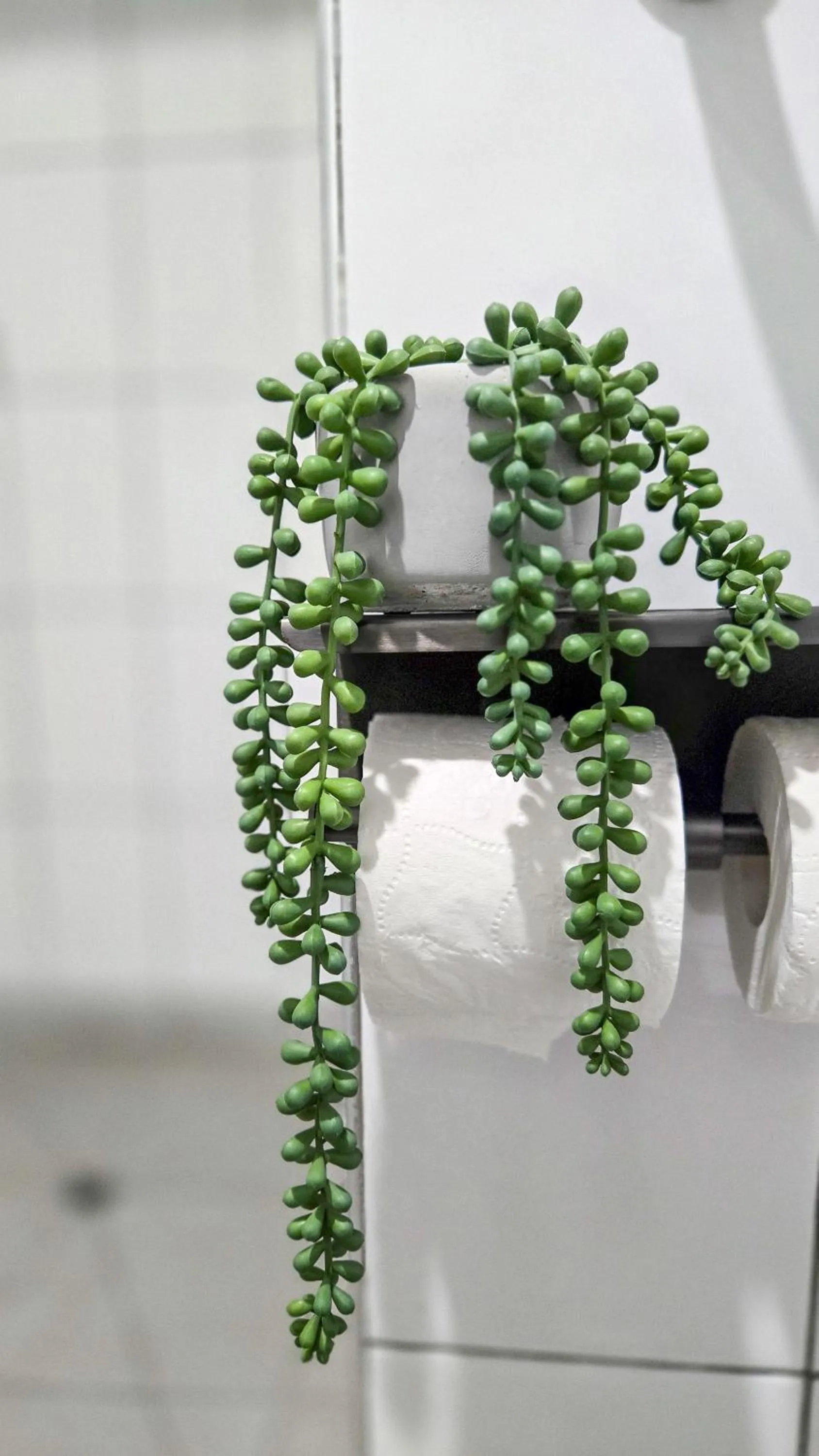 Bathroom in Alpin Motel & Conference Centre