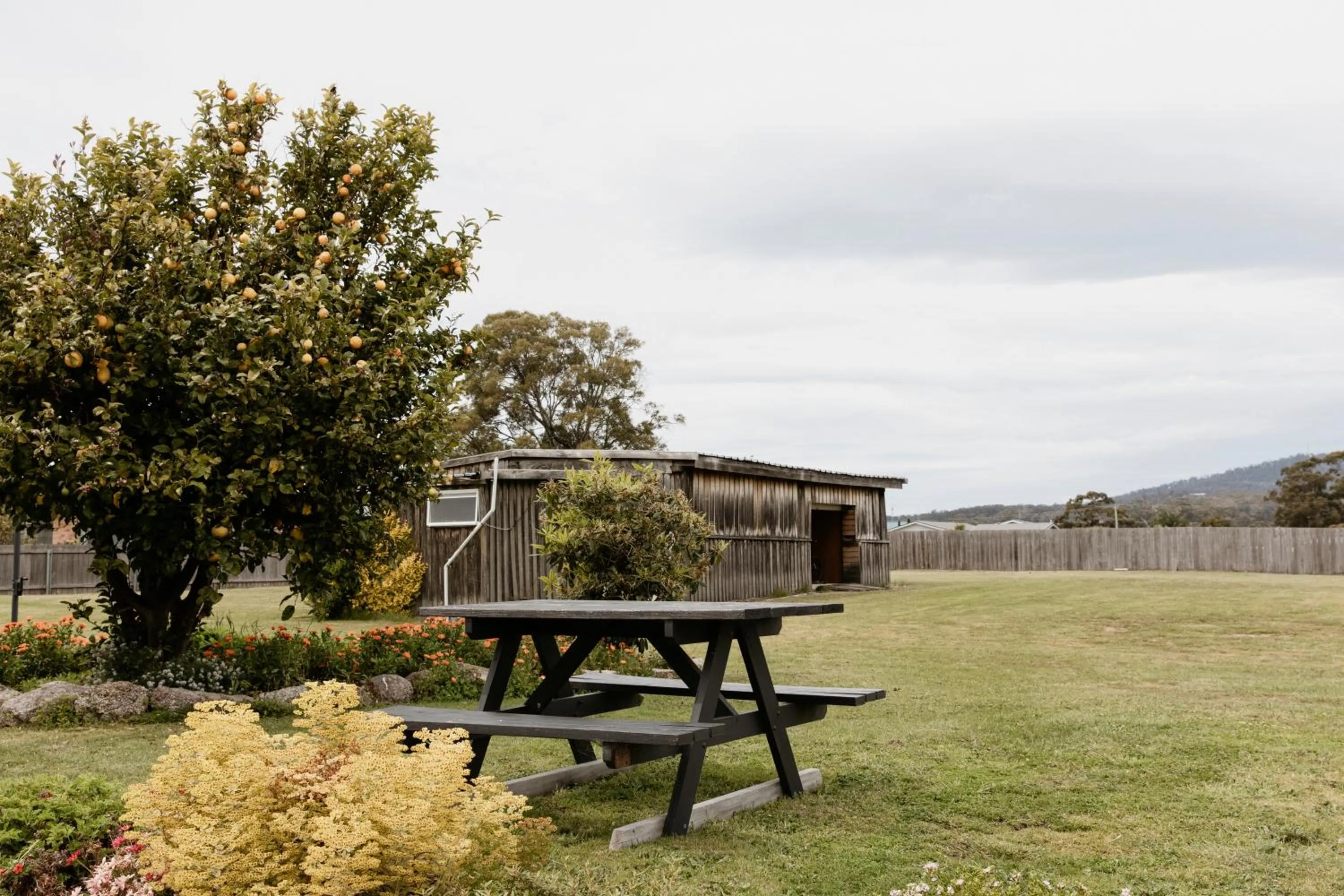 Garden in Anchor Wheel Motel