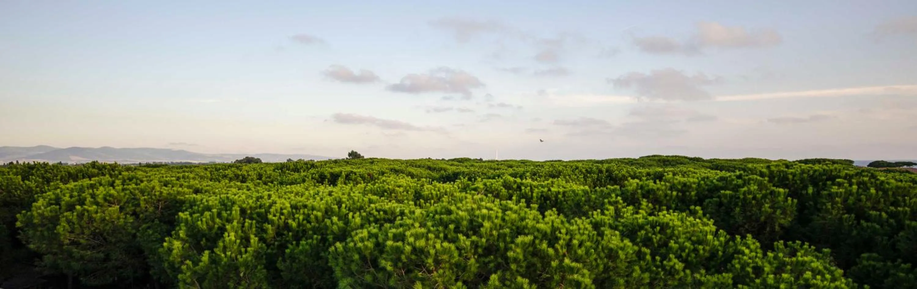 View (from property/room) in Grand Hotel Helios