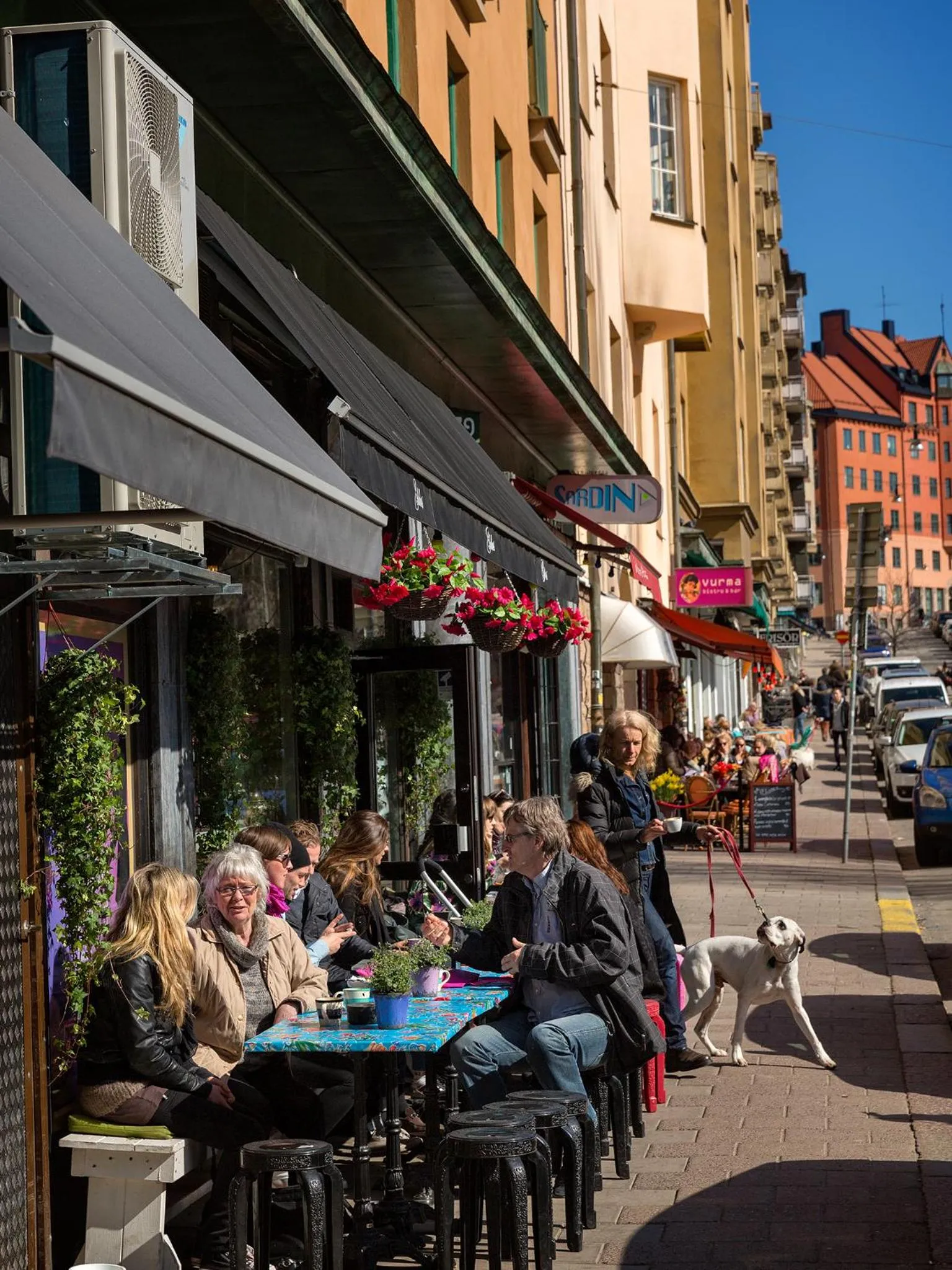 Restaurant/places to eat in Mosebacke Hostel