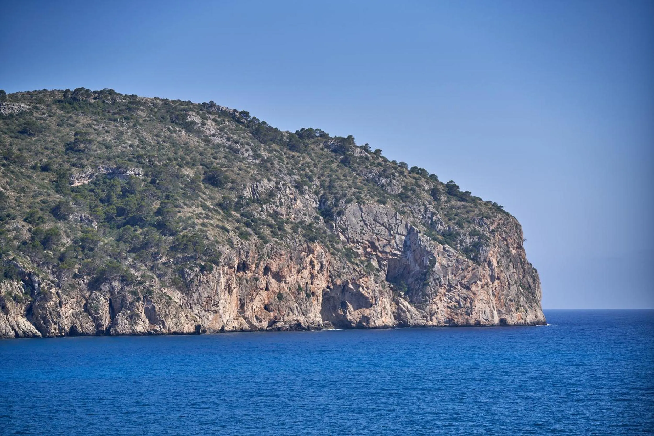 Sea view in Bahia Suites Camp de Mar