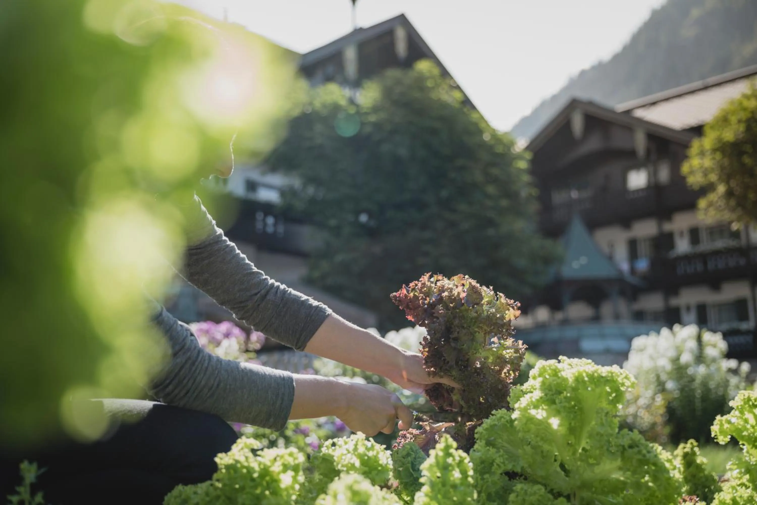 Garden in Neuhaus Zillertal Resort