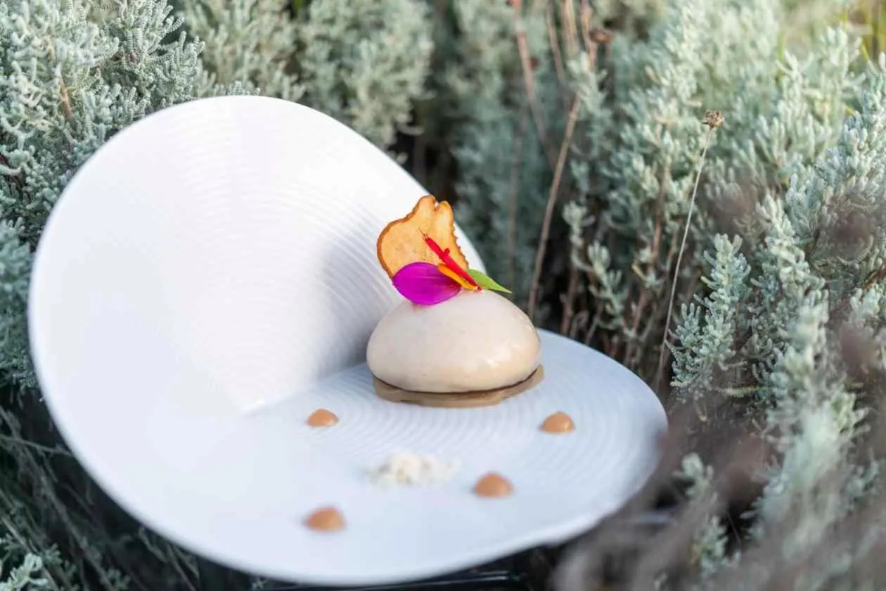 La Gree Des Landes - Eco-Hotel-Spa Yves Rocher