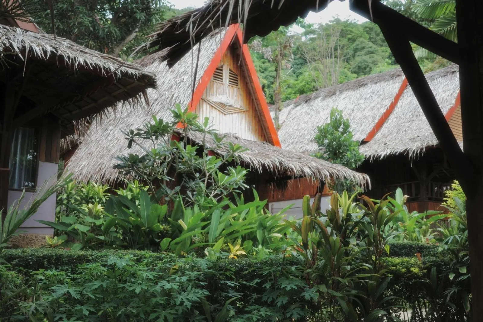 Garden in Phi Phi Relax Beach Resort