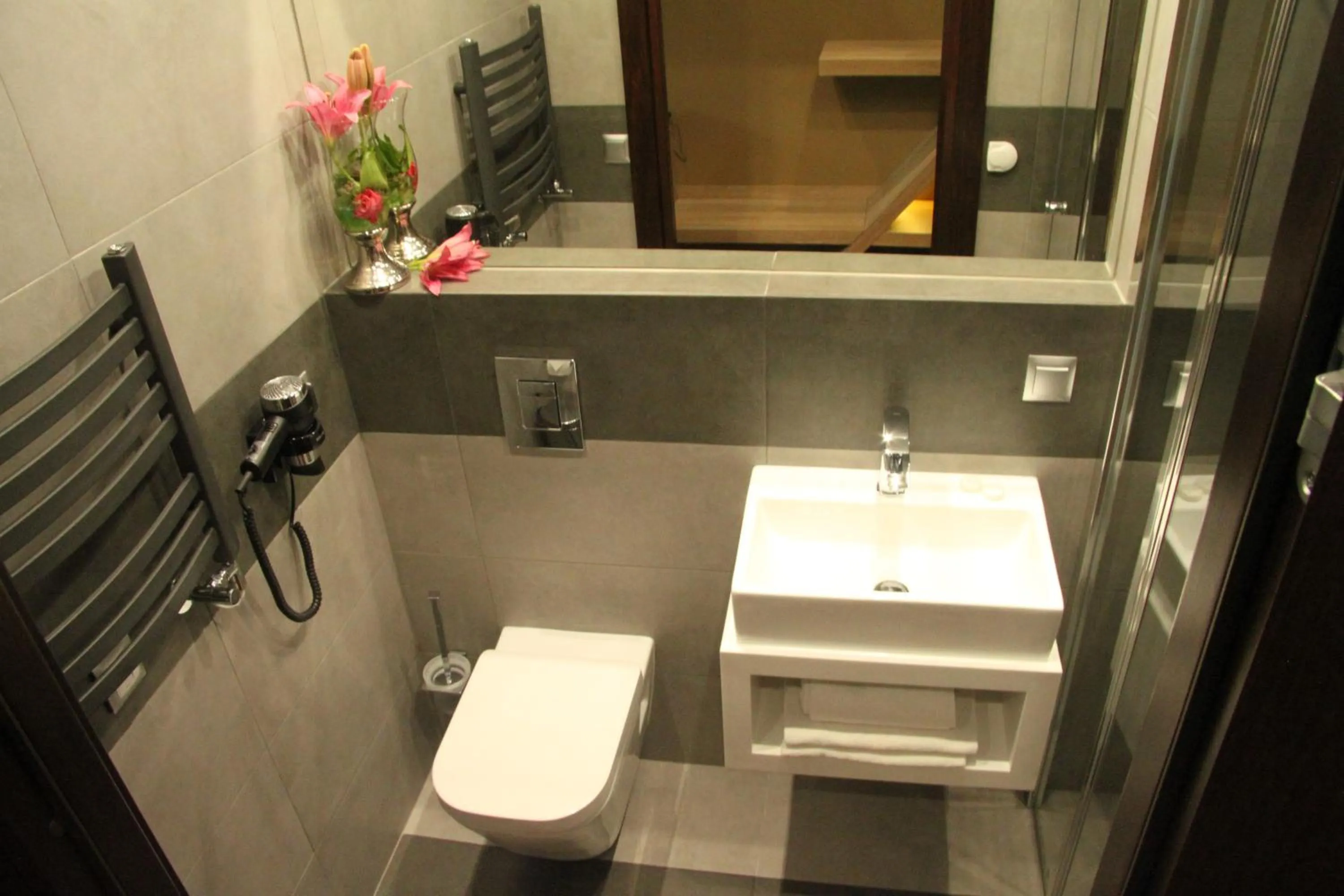 Toilet in Hotel Dunajec