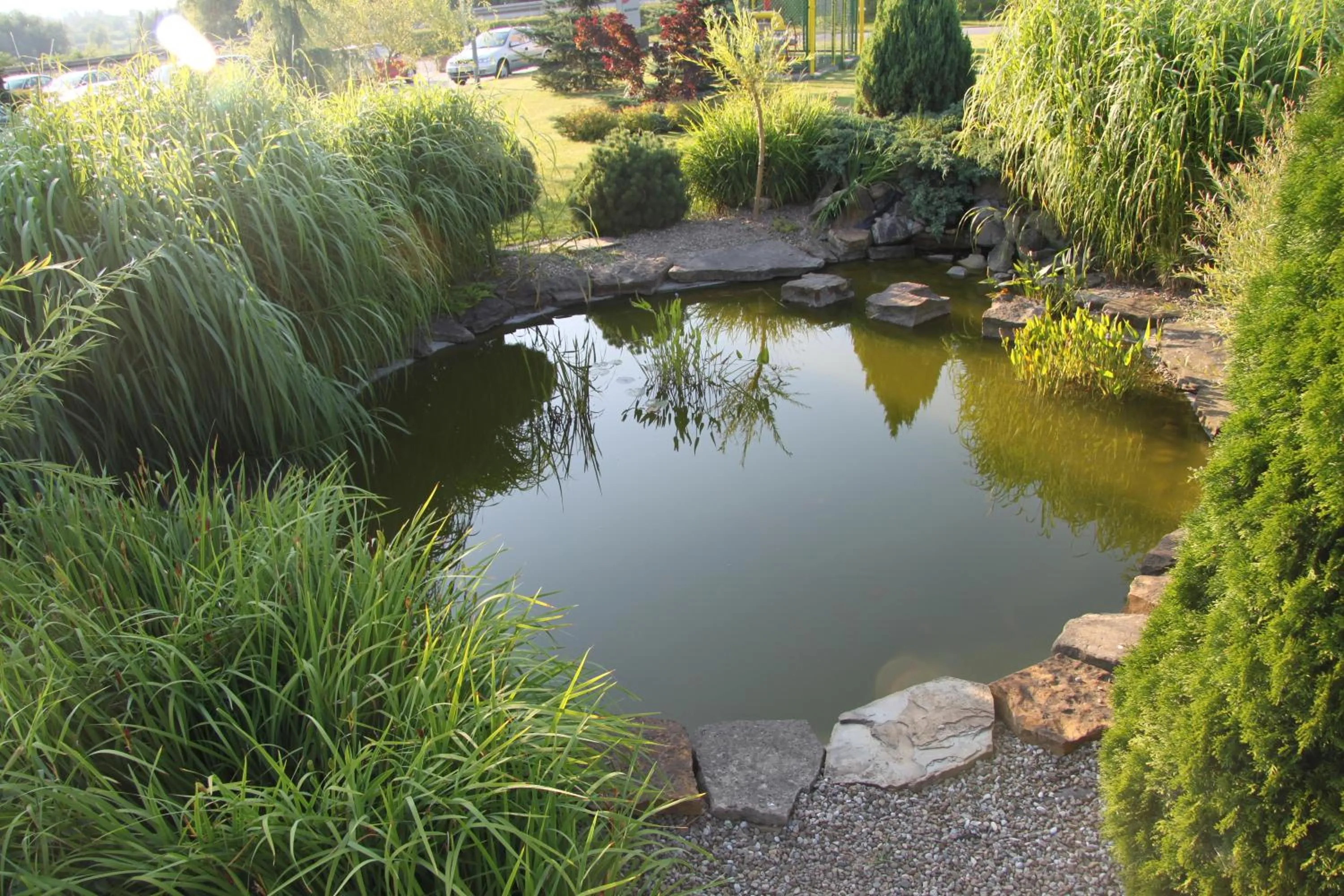 Area and facilities in Hotel Dunajec