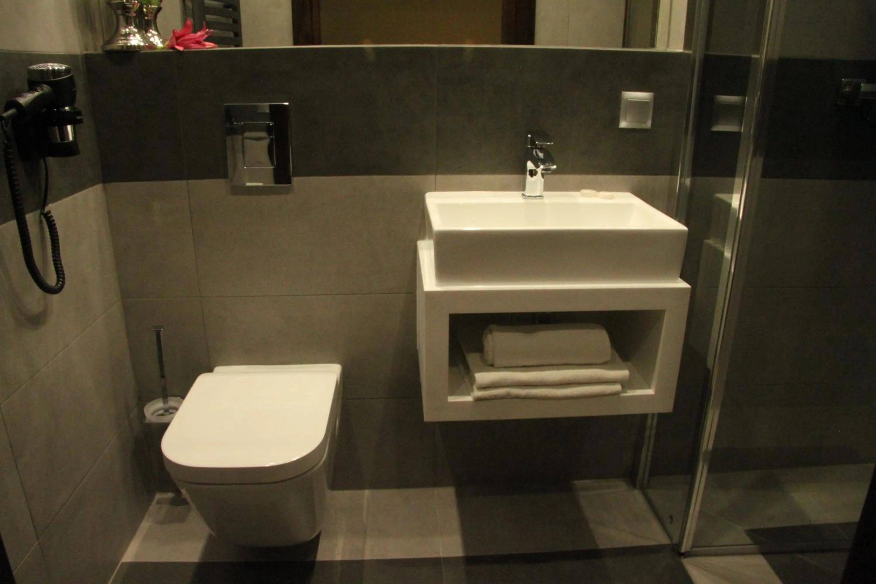 Toilet in Hotel Dunajec