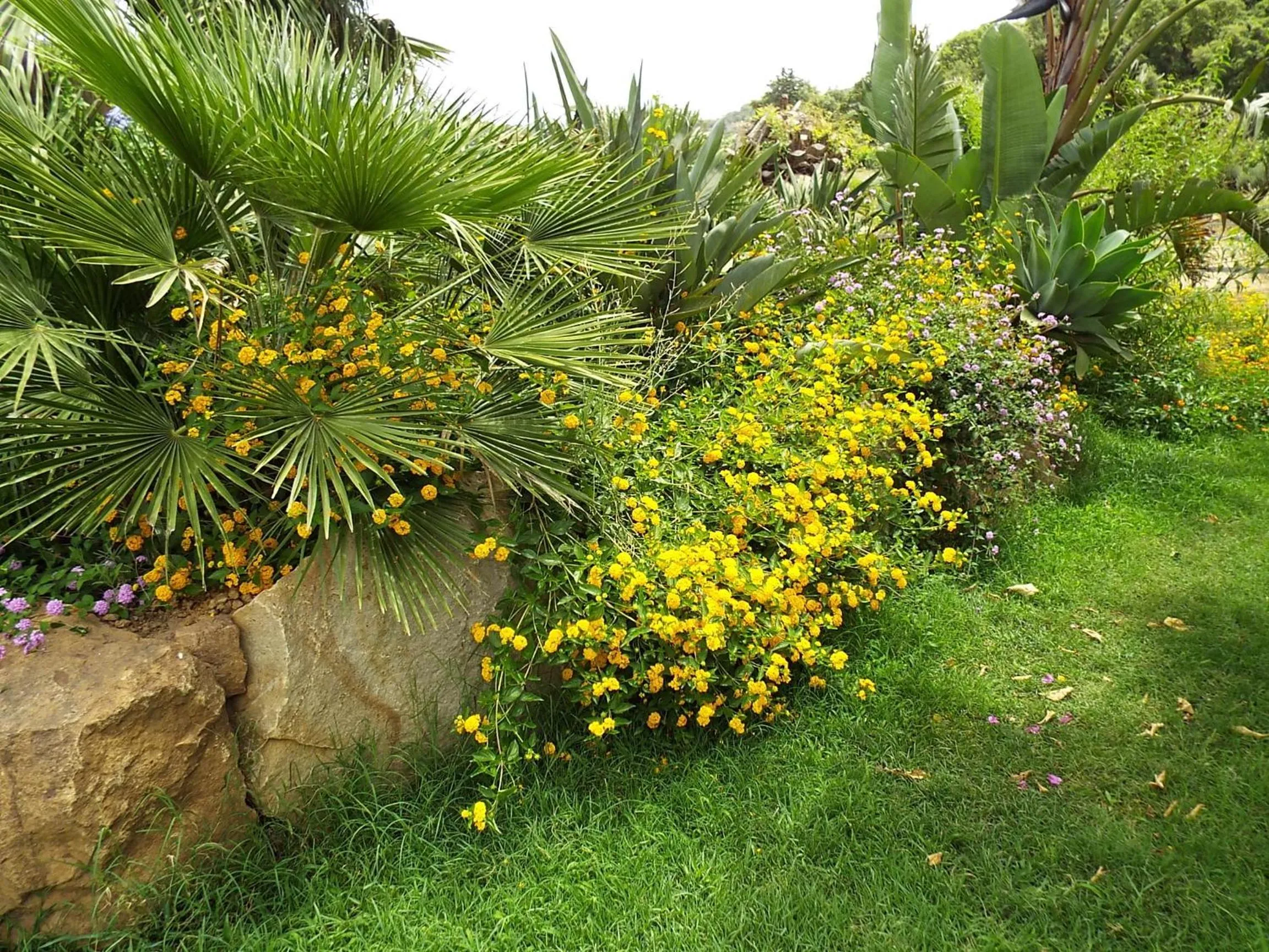 Garden in Turismo Rurale Cefalù