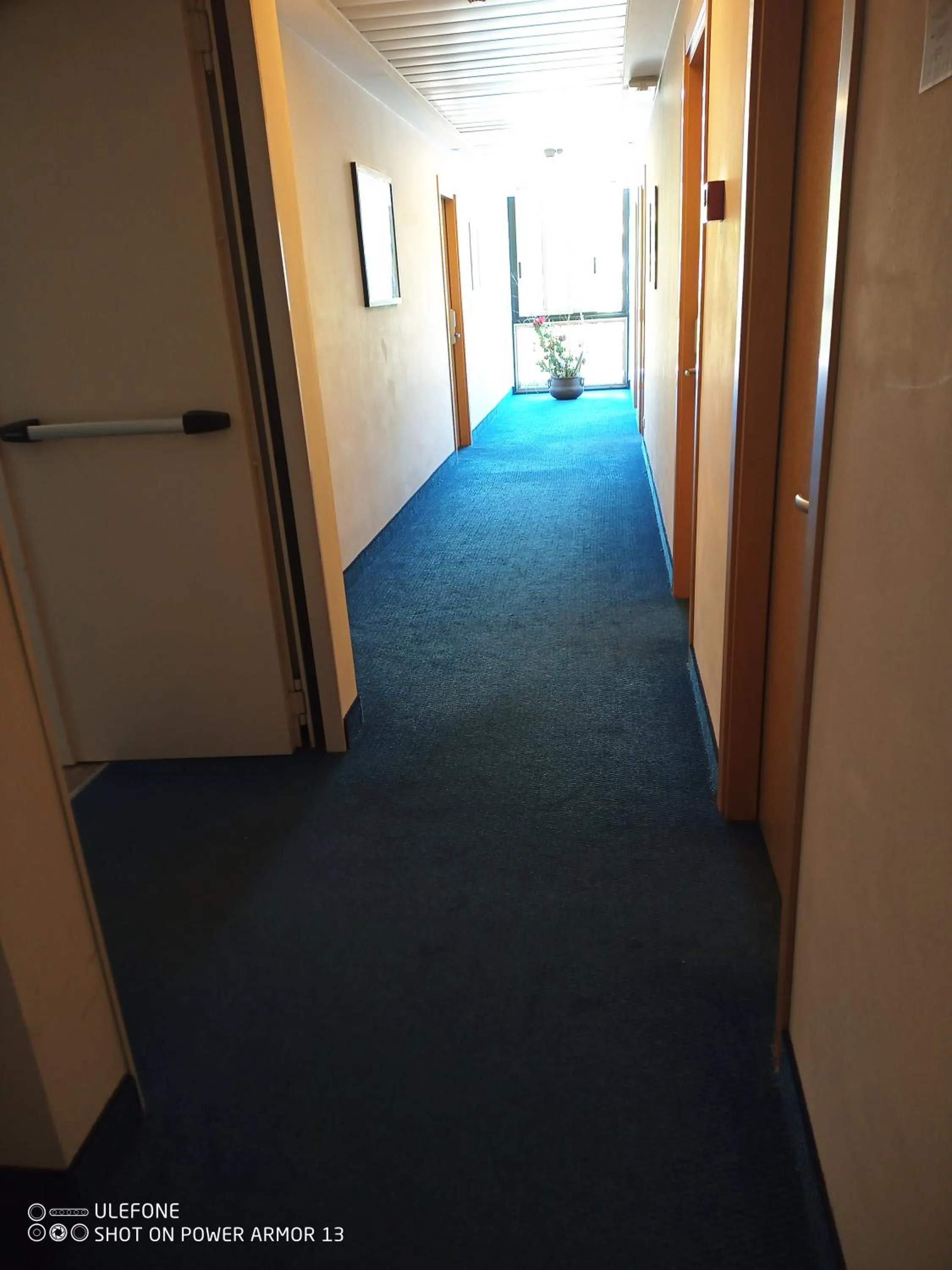 Decorative detail in Hotel Firenze