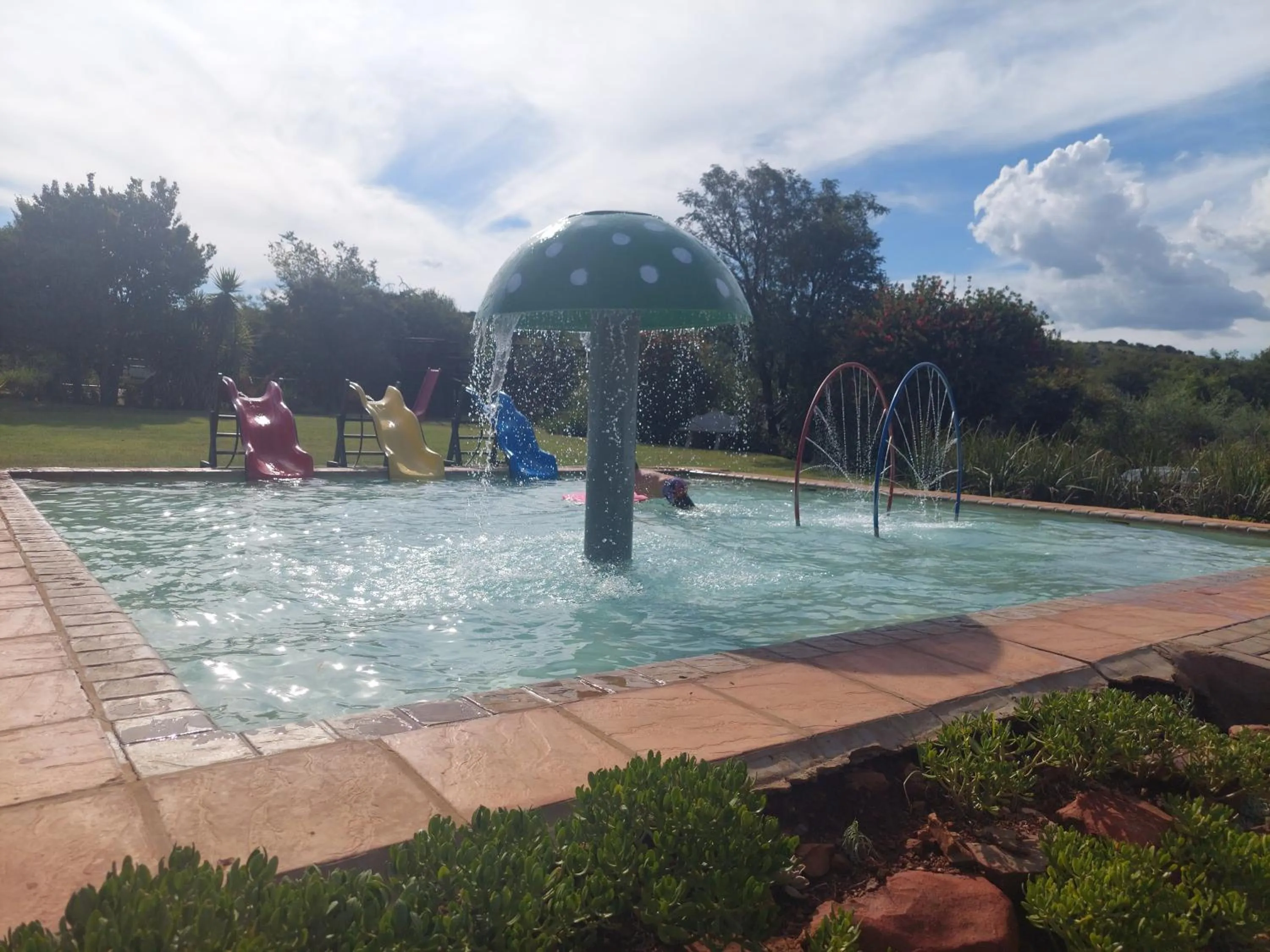 Swimming pool in Tava Lingwe Game Lodge & Wedding Venue