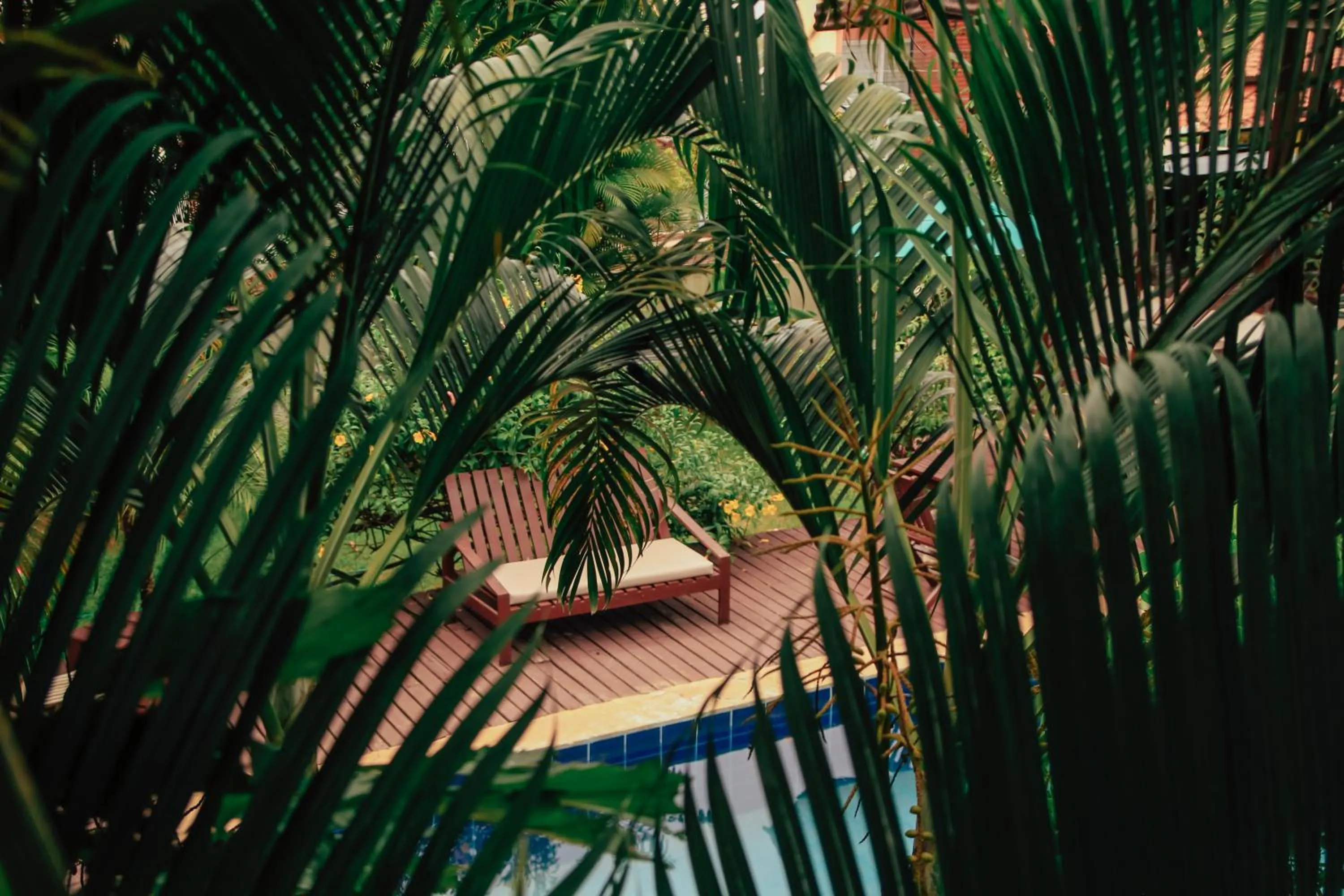 Garden view in Pipa Panorama Aparthotel