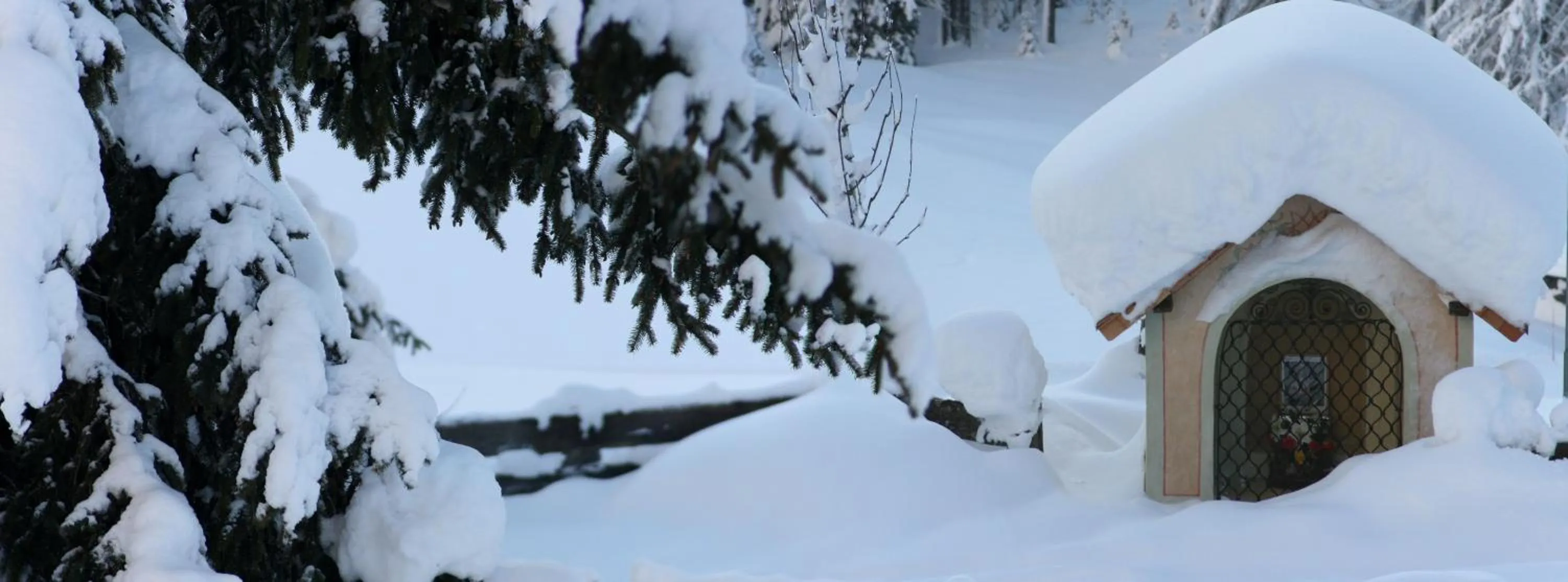 View (from property/room) in Chalet Cogolara