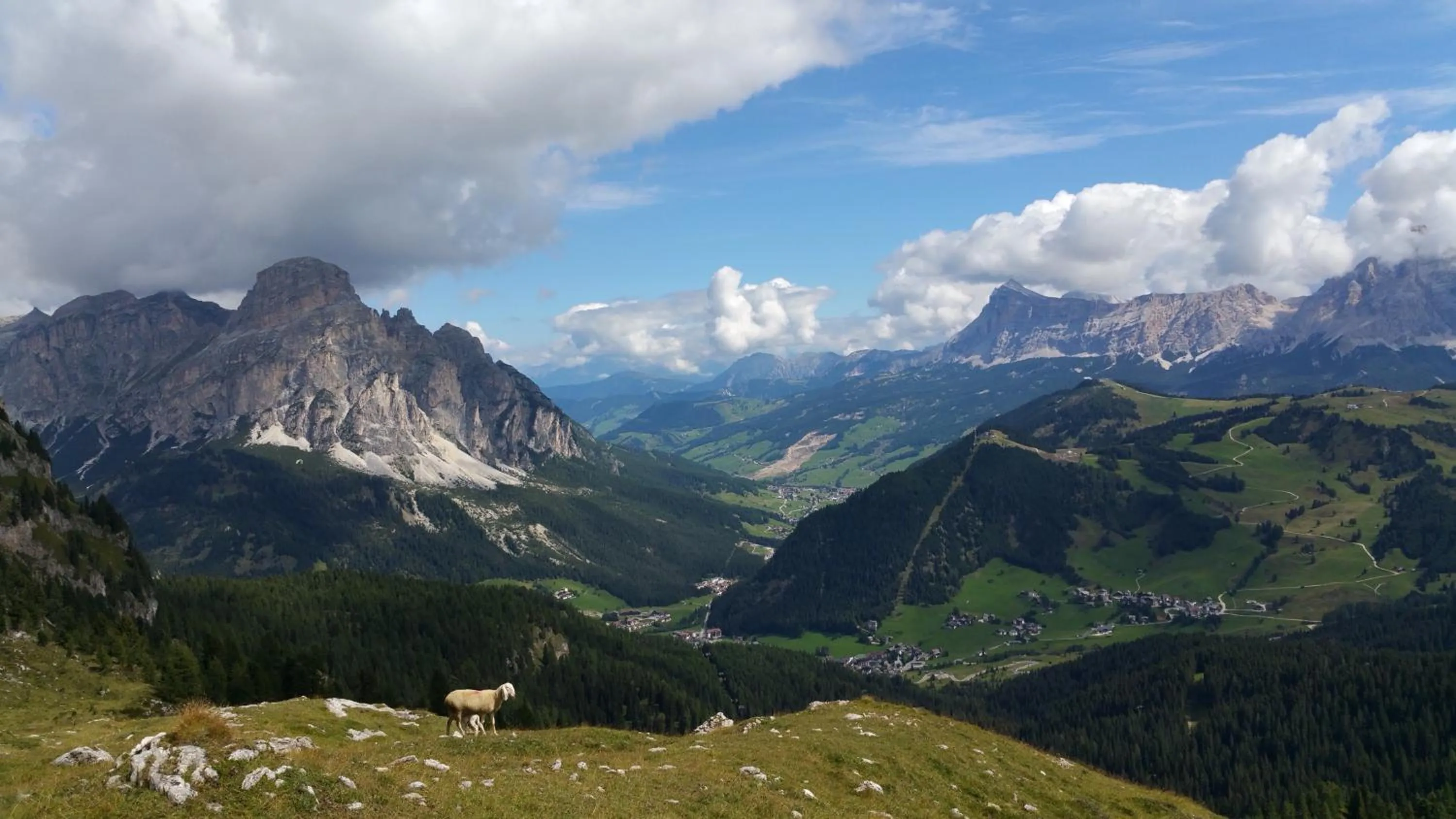 Mountain view in Chalet Cogolara