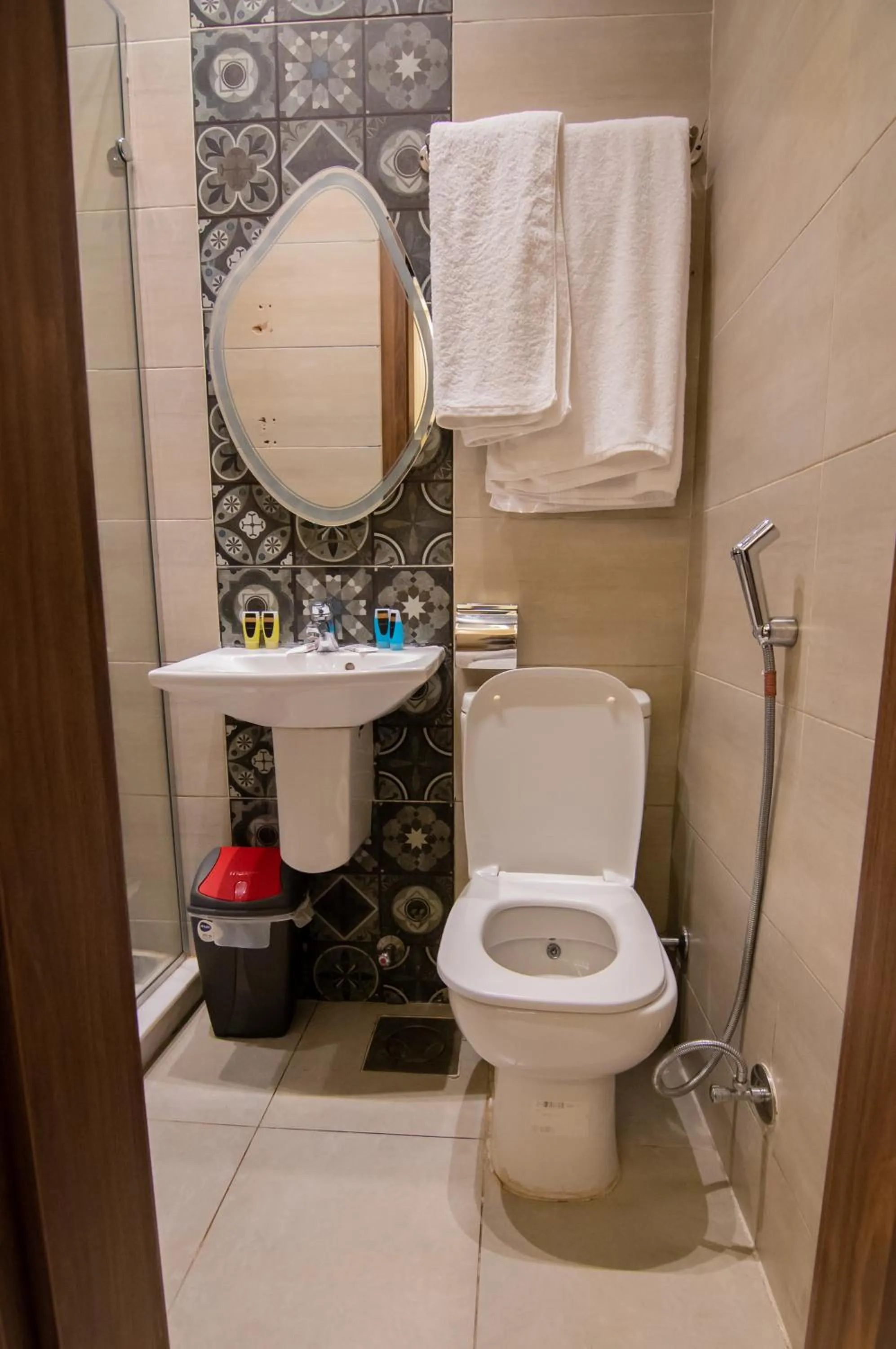 Toilet in Egyptian Night Hostel