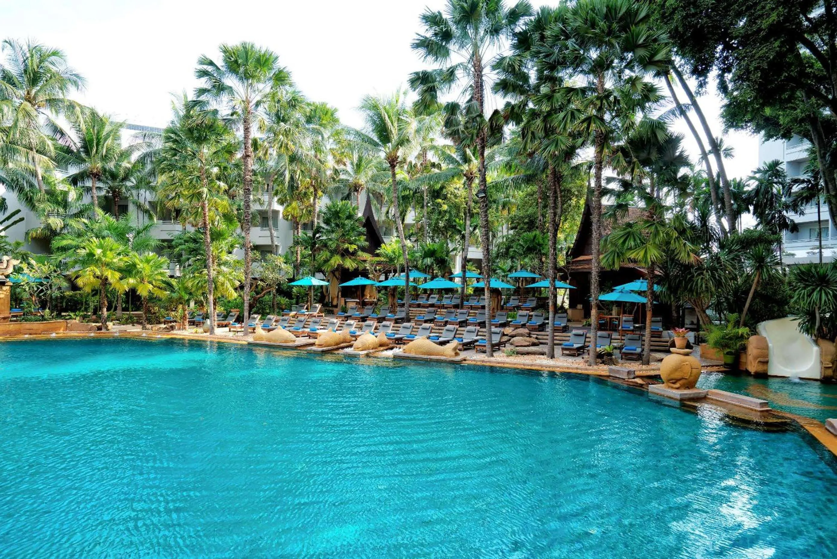 Pool view in Avani Pattaya Resort